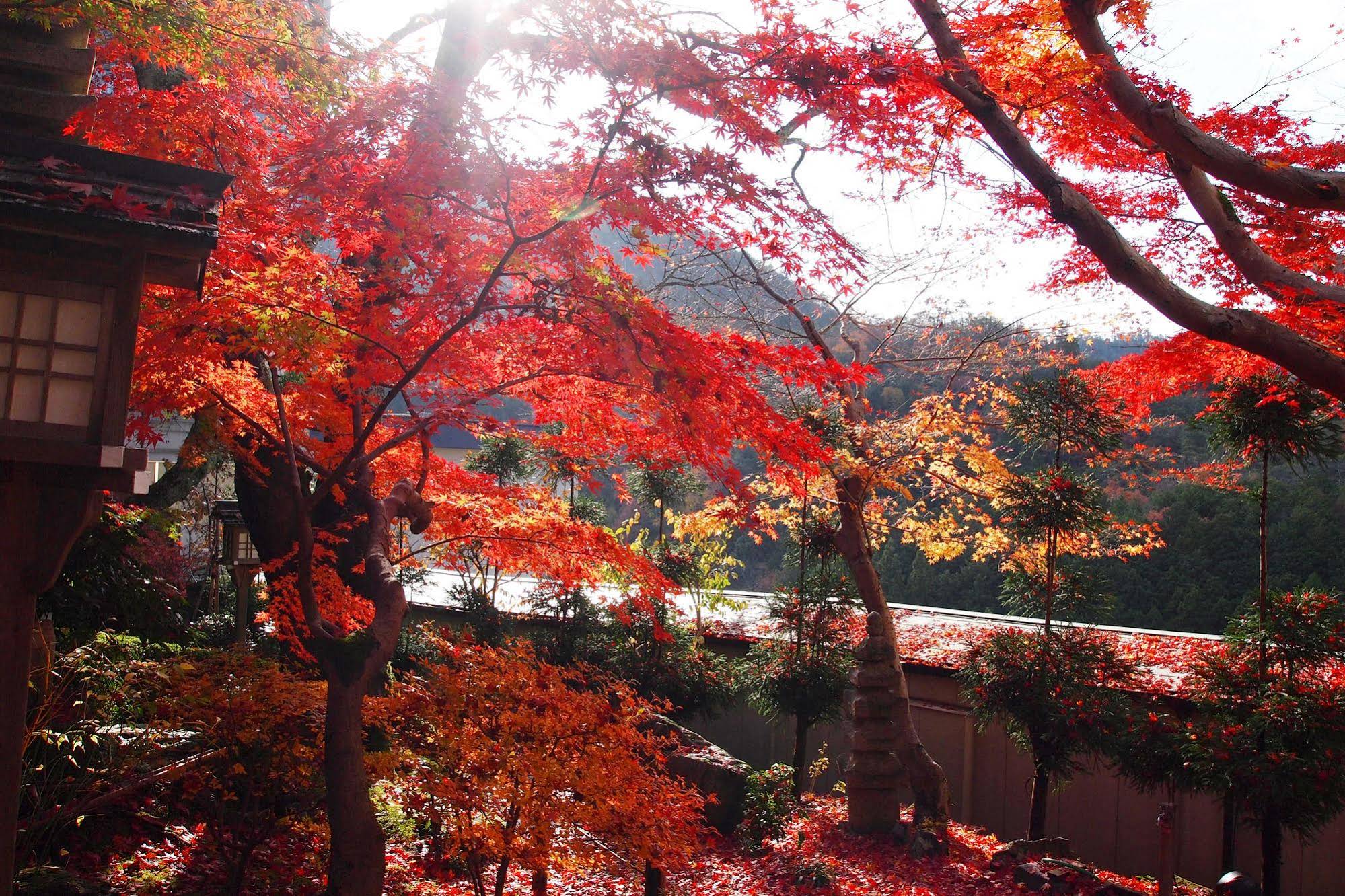 Ryokan Nenrinbo