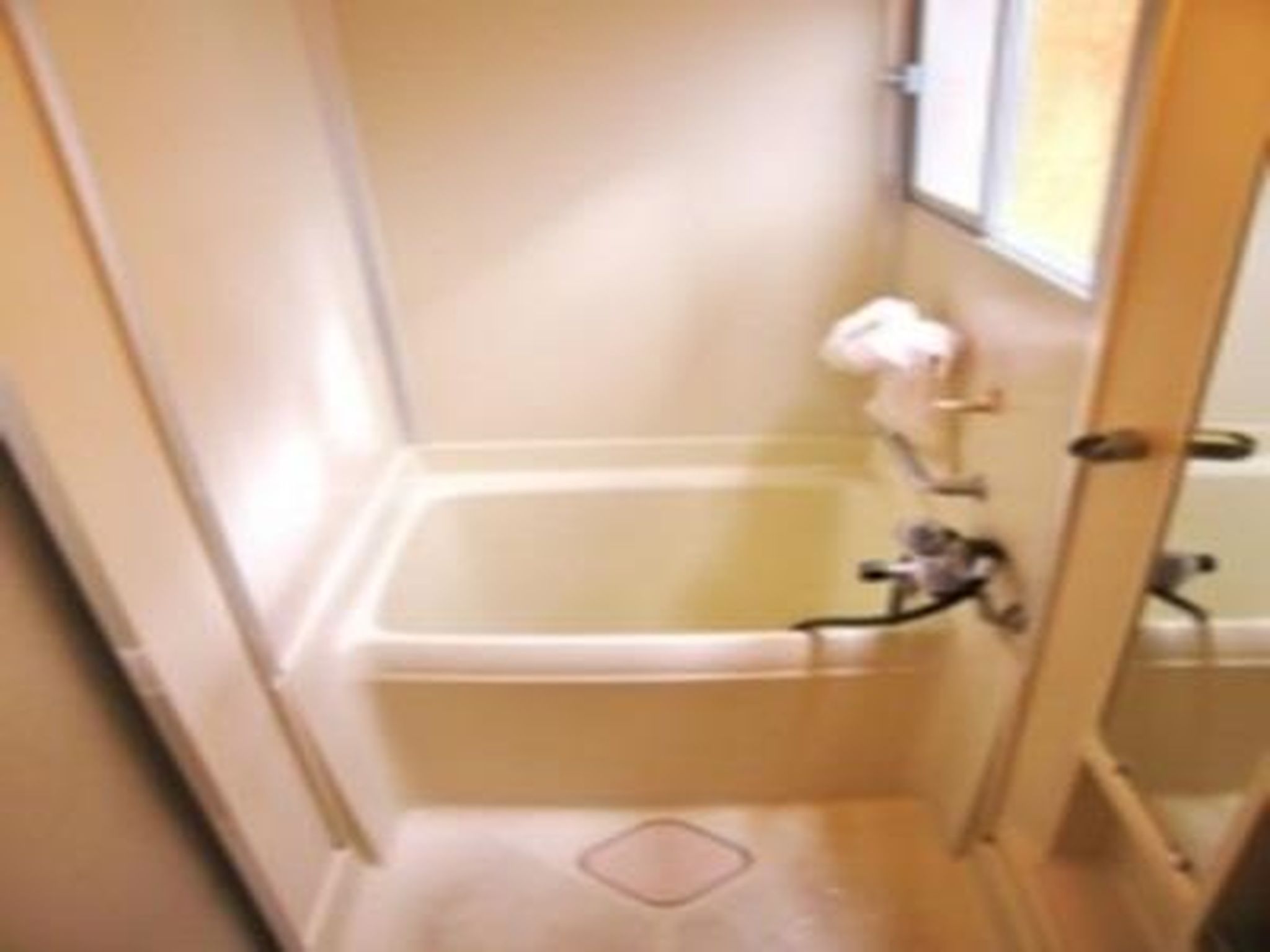 Small World Guest House