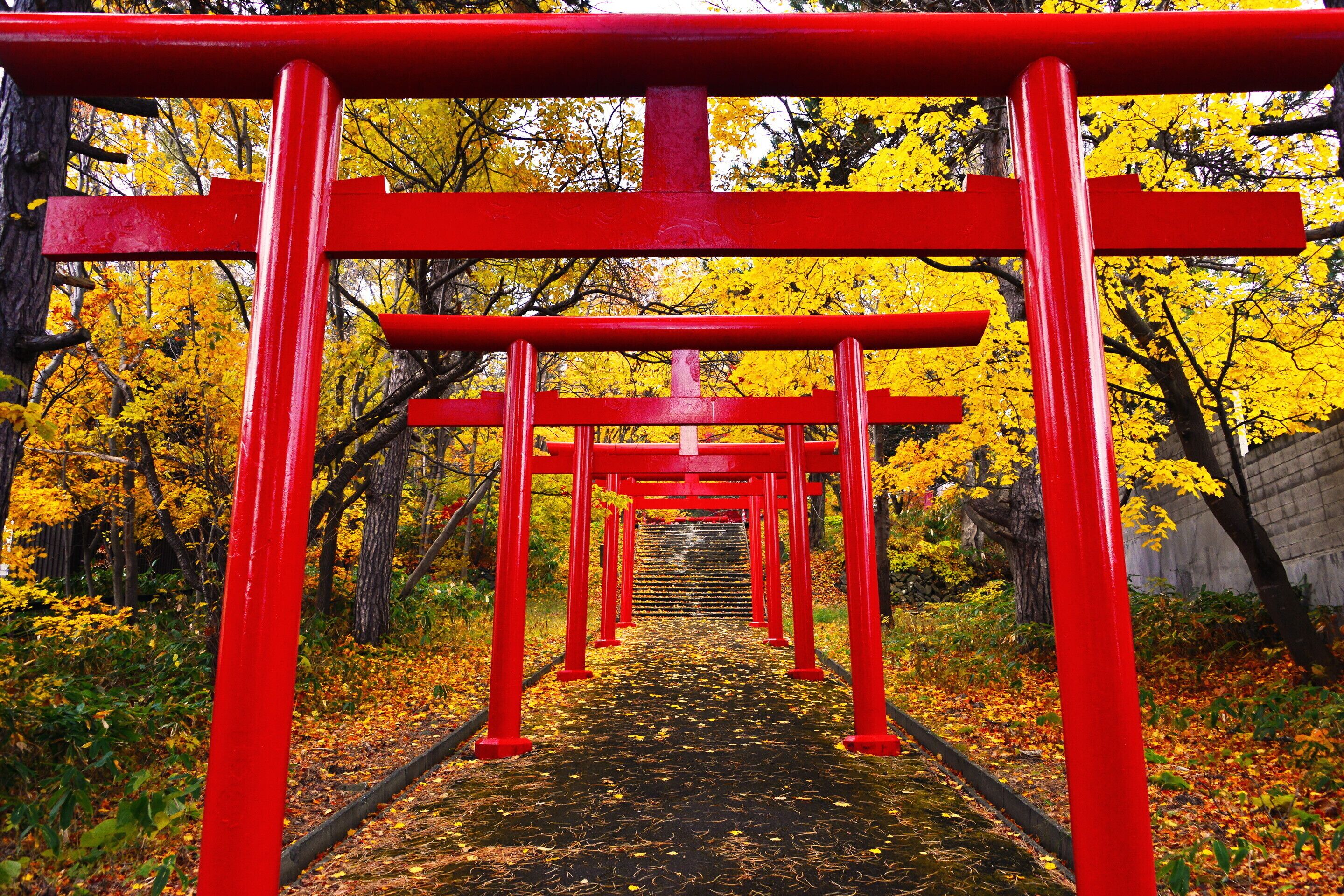 Stay SAKURA Kyoto Nijo Castle West I