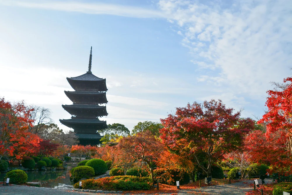 Stay Sakura Kyoto Nijo Seasons
