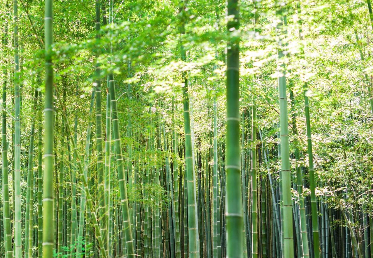 Suiran A Luxury Collection Hotel, Kyoto