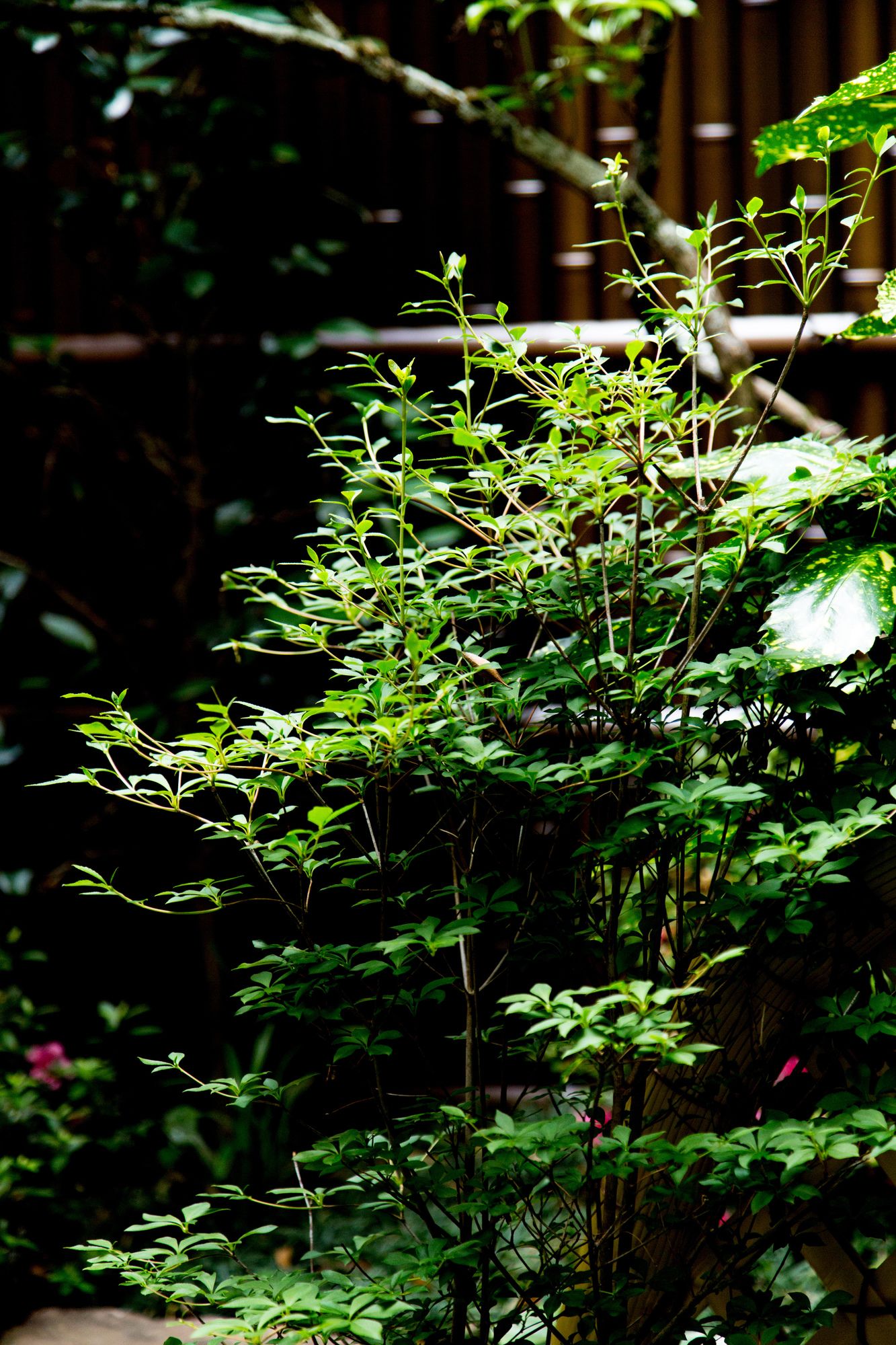Musubi Hotel Kyoto Sanjo Villa