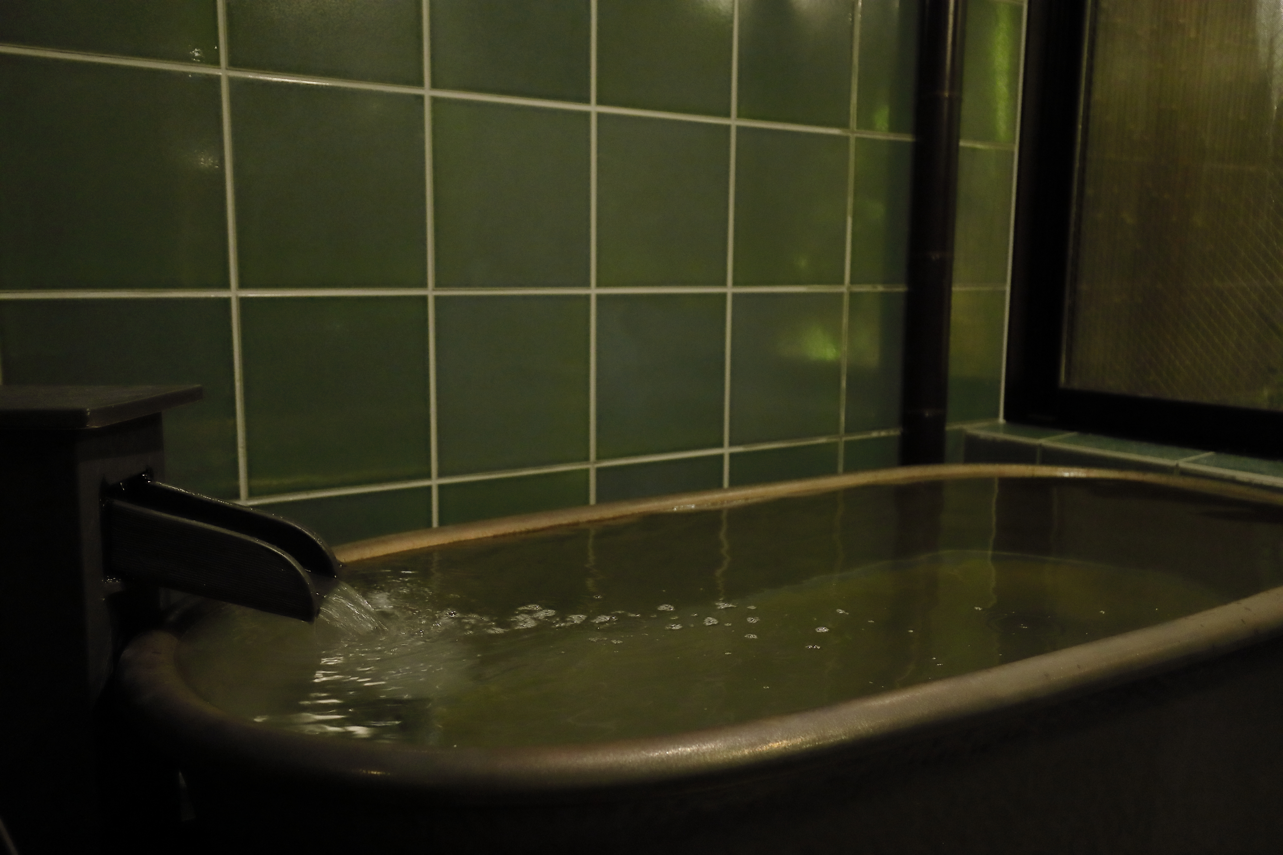 The Junei Hotel Kyoto Imperial Palace West