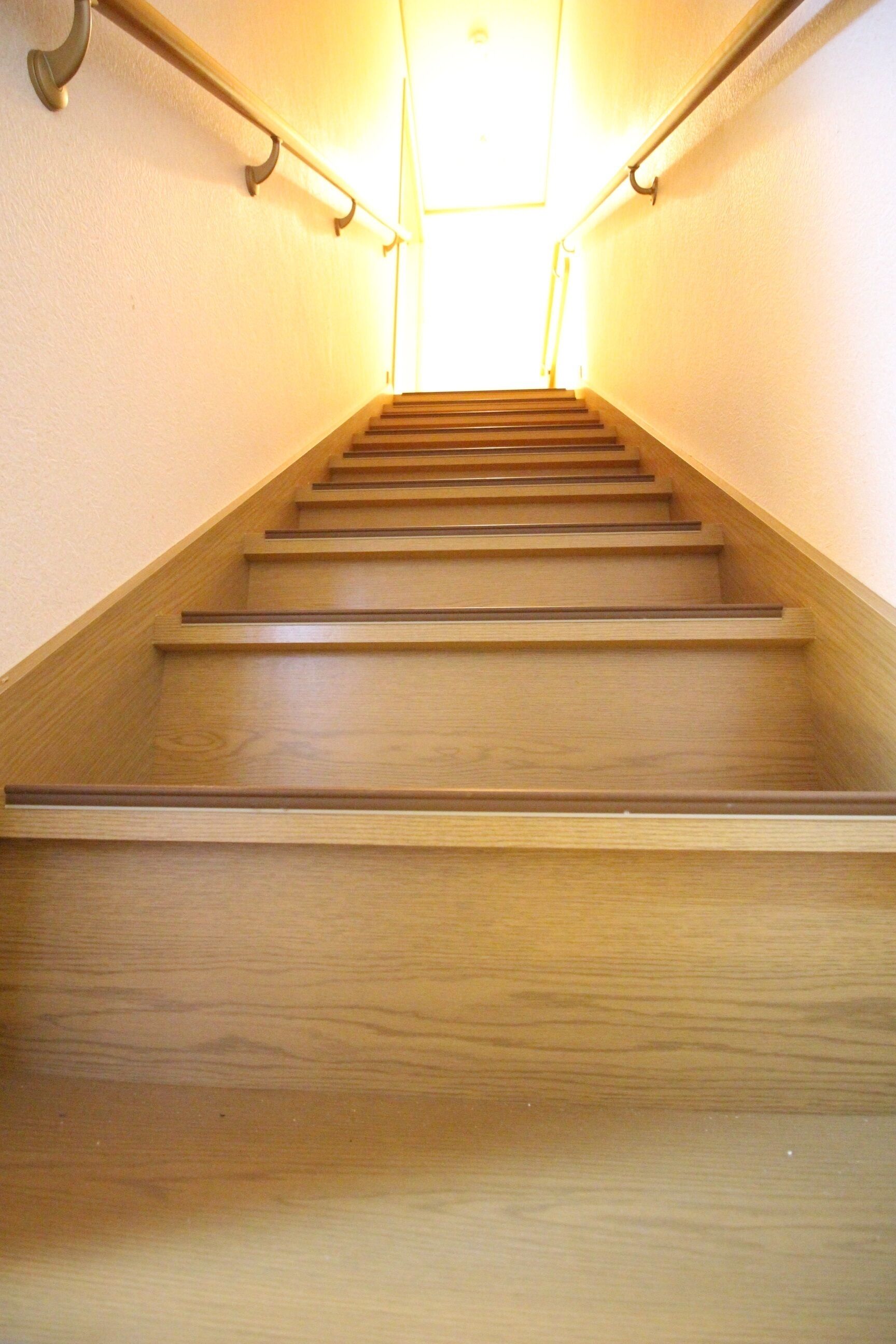 Trad Guest House