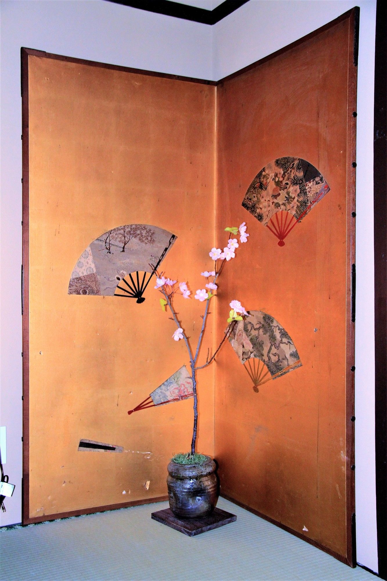 Tsubaki Ann Kyoto