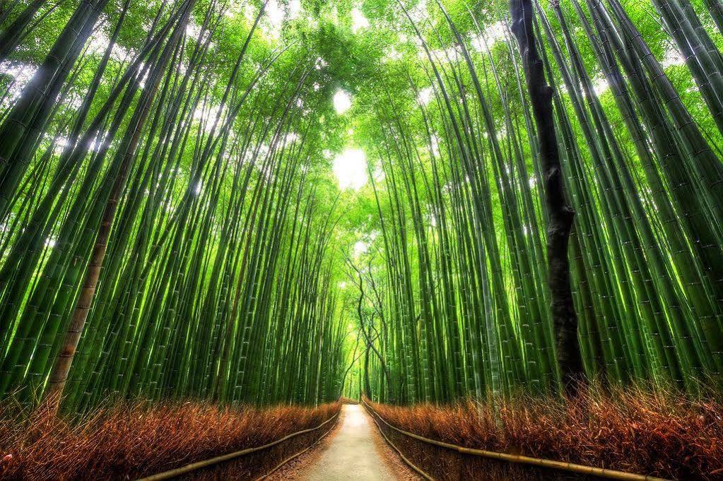 Tsubame Ya