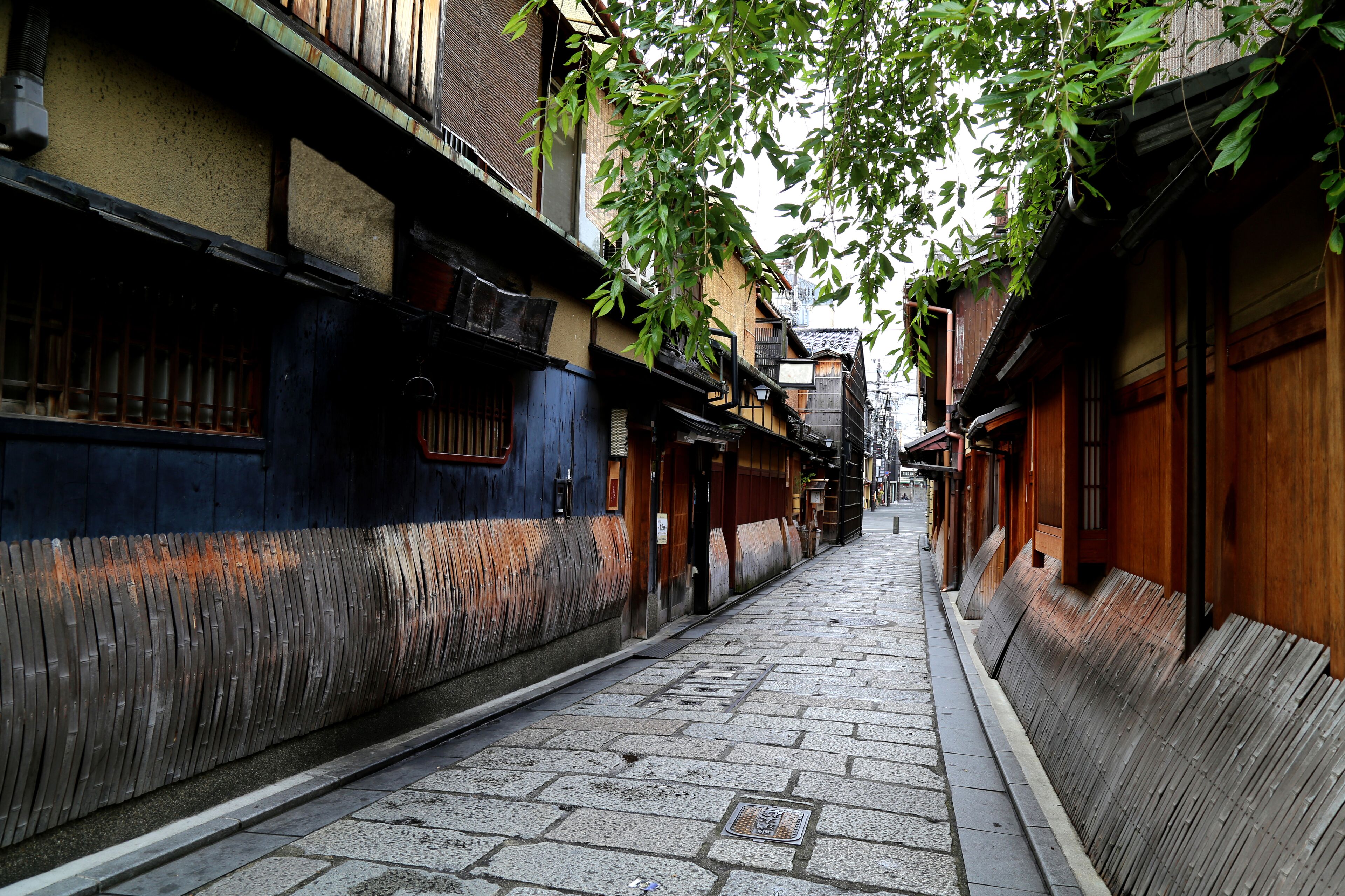 Tsumugi Gojo Omiya