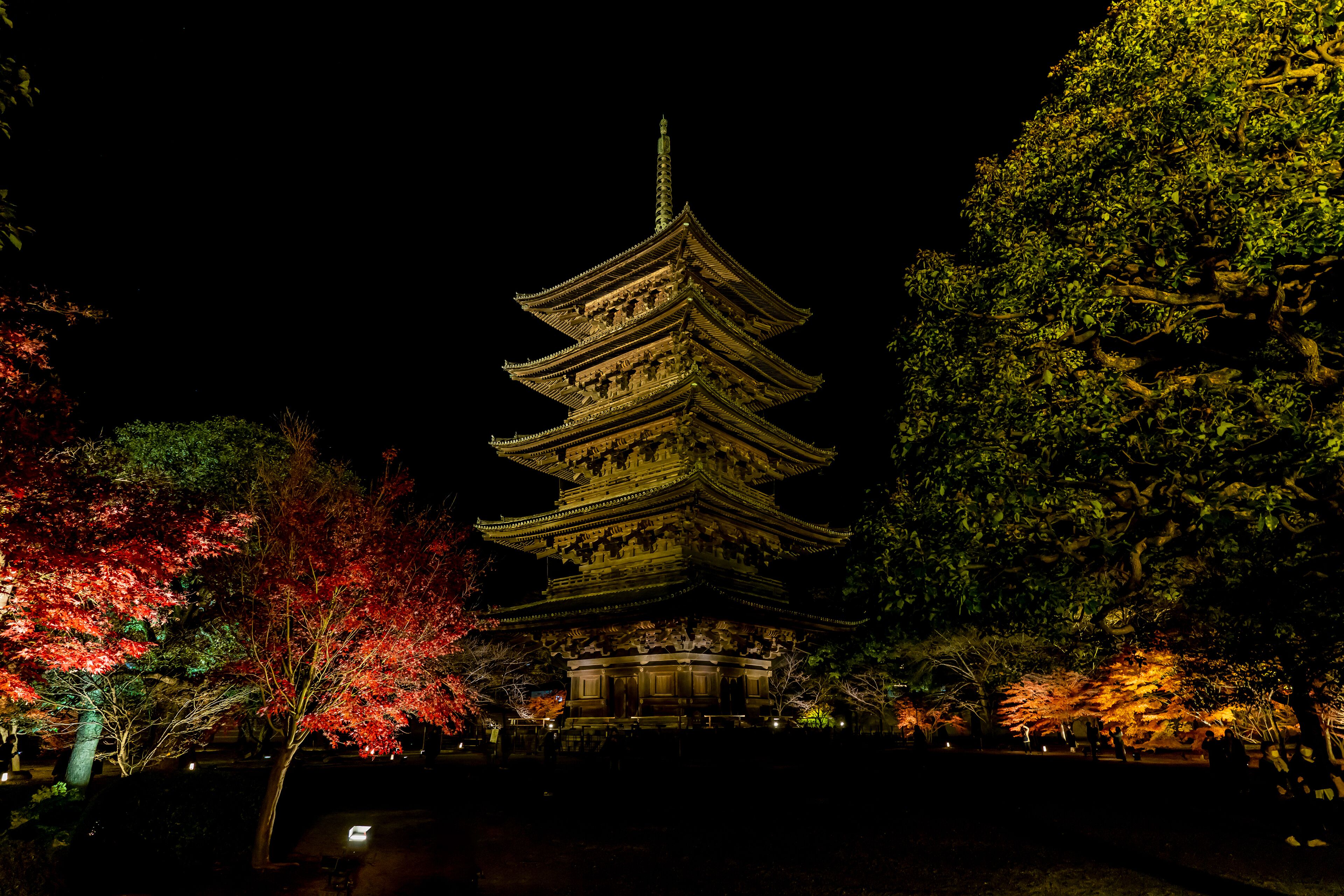 Tsumugi Gojo Omiya