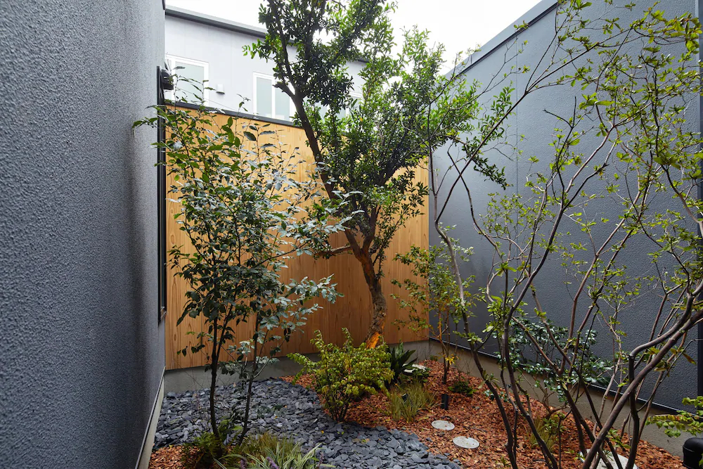 Yadoru Kyoto Matcha No Yado