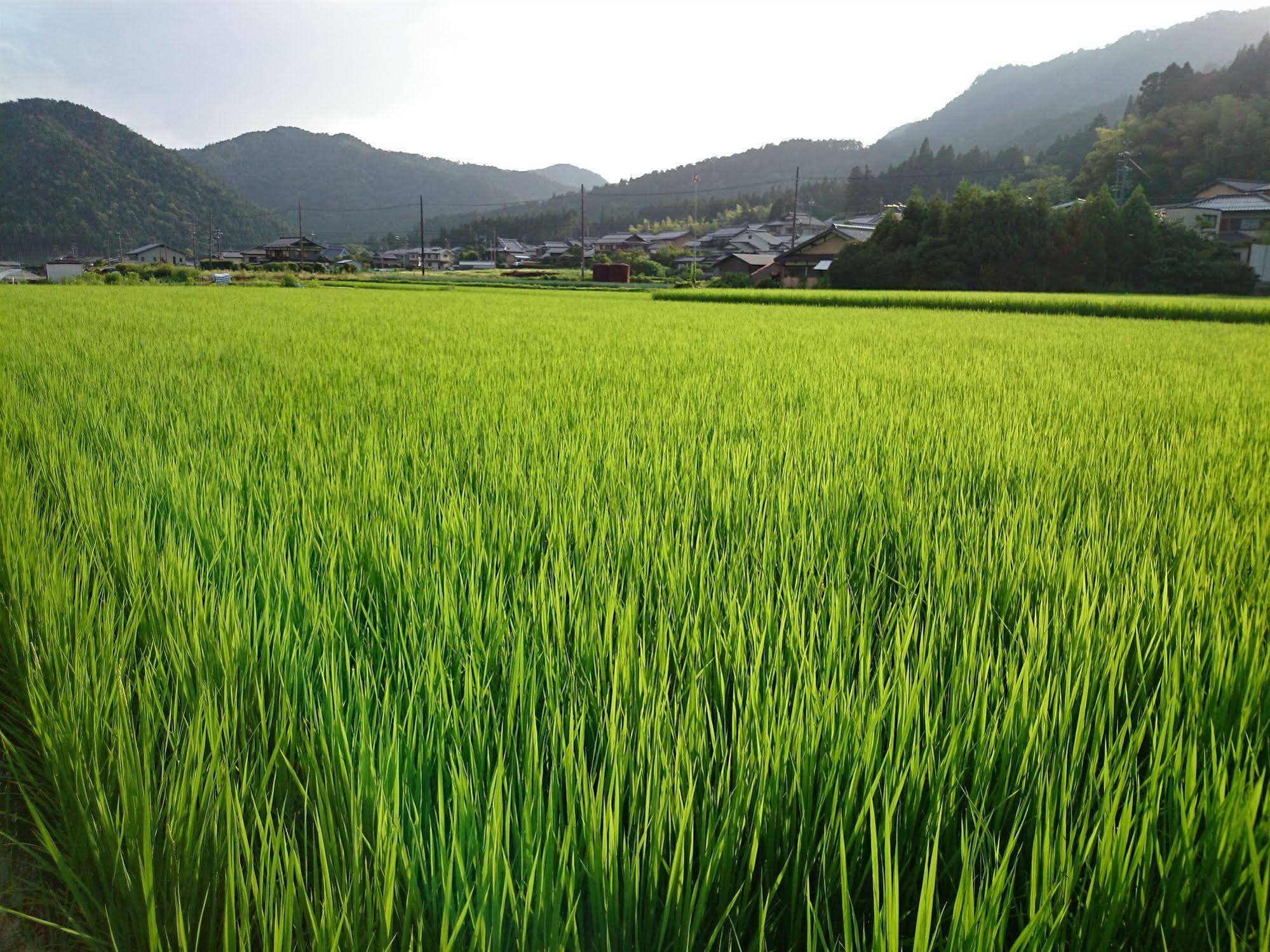 Yumoto Onsen OharaSansou