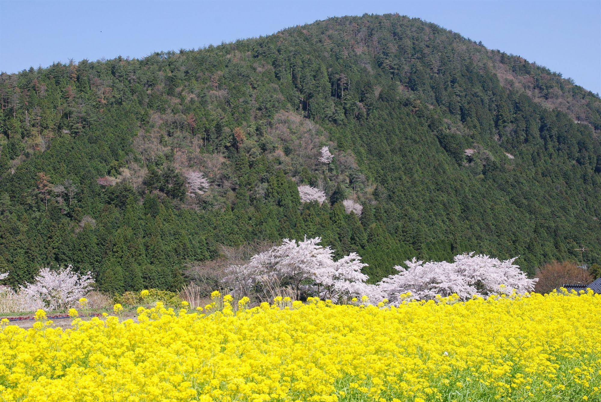 Yumoto Onsen OharaSansou