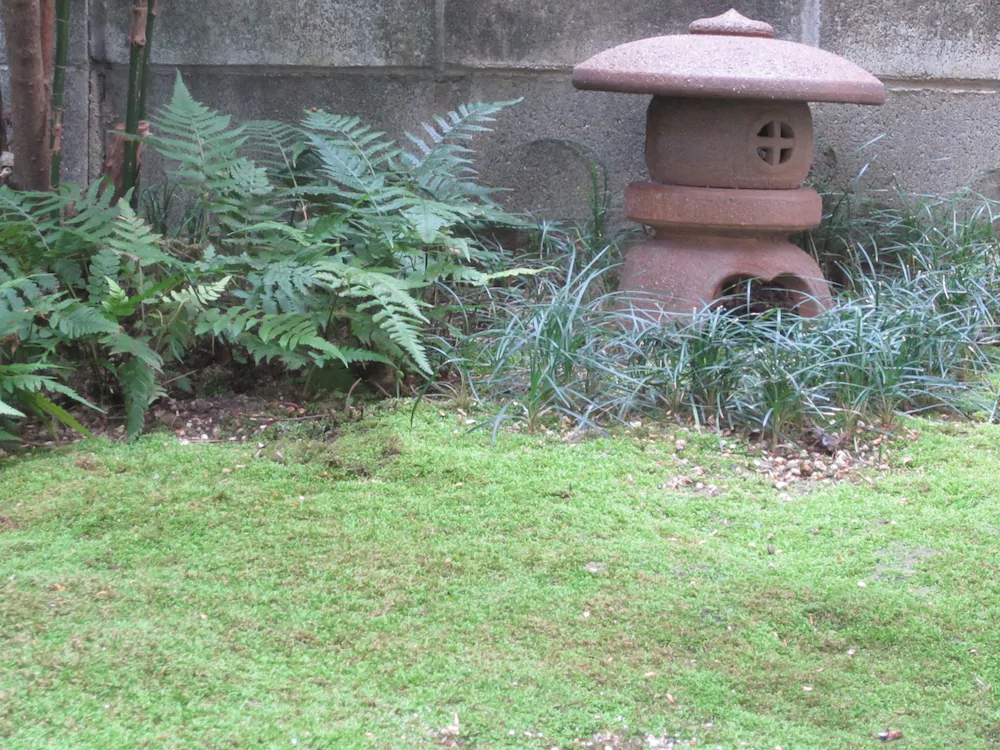 Enman Guest House