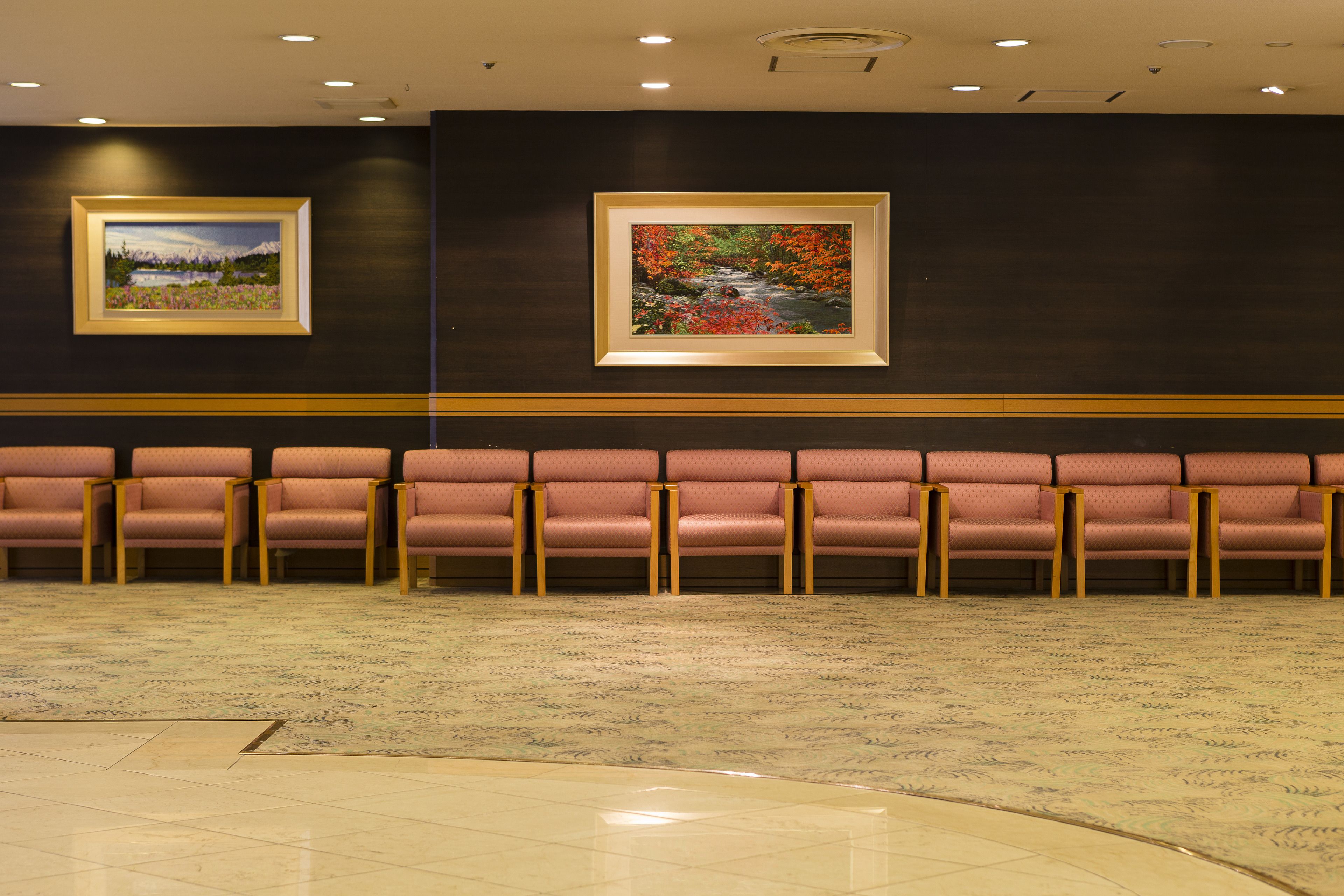 Ark Hotel