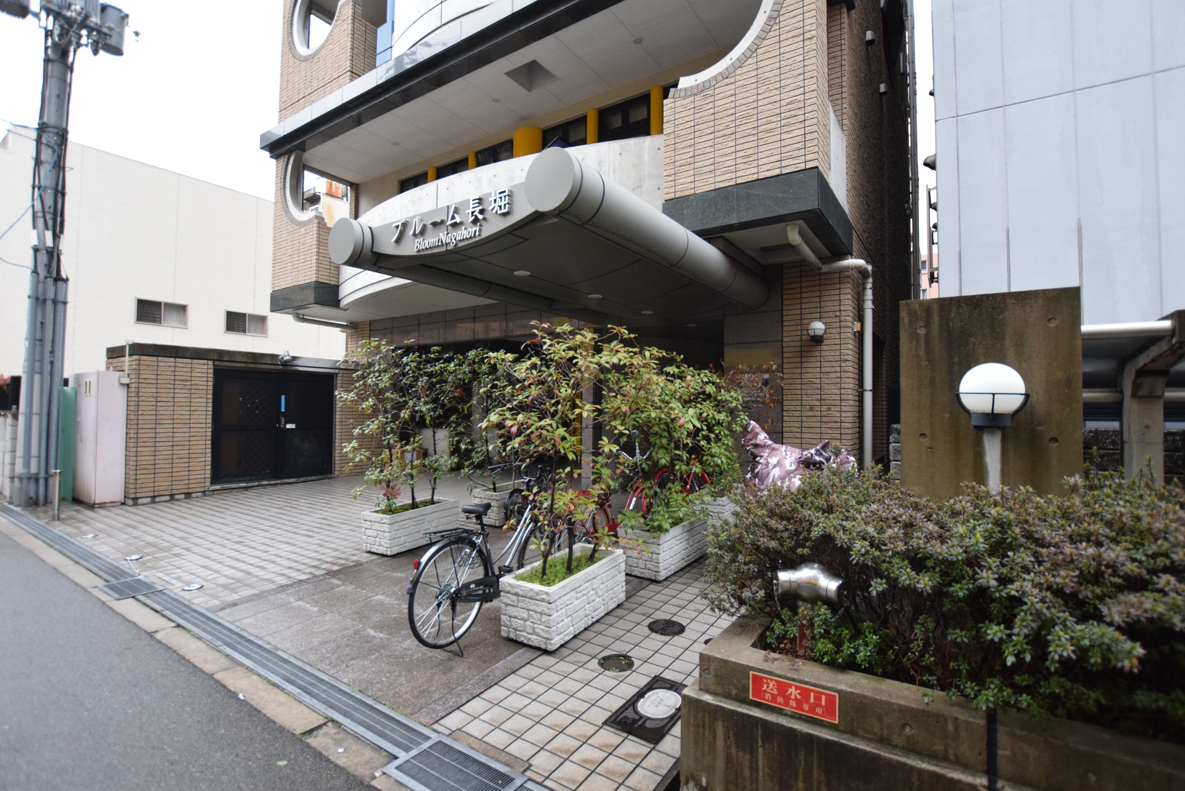 Bloom Nagahori