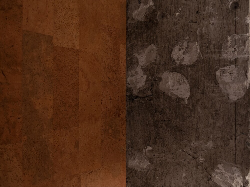 Earthmans Amemura
