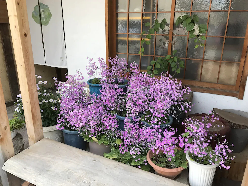 Hostel Moku-Moku