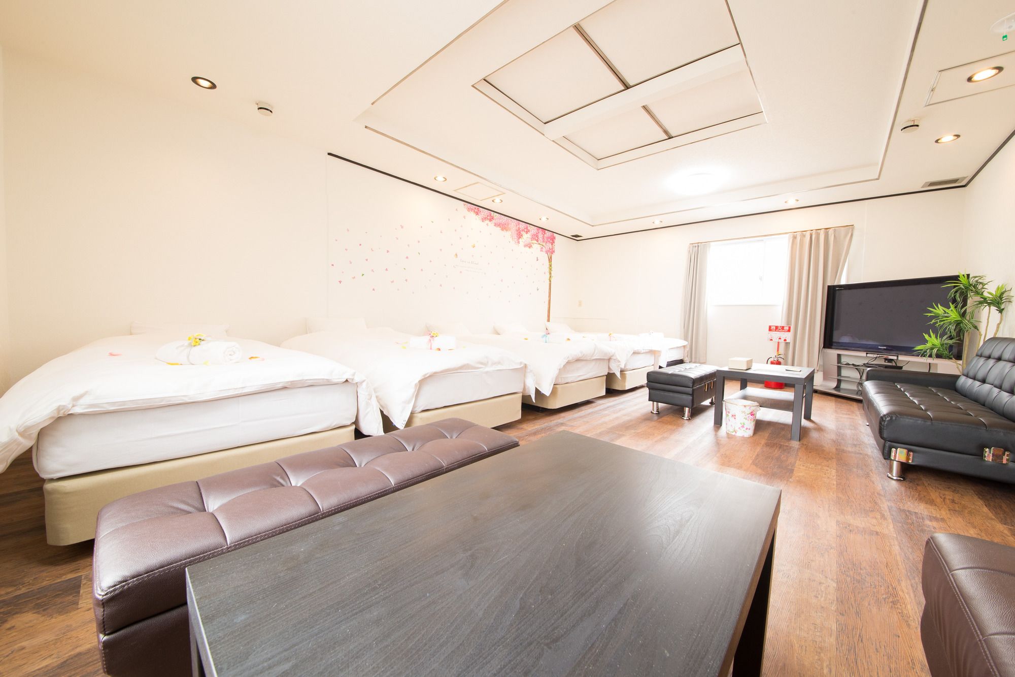 Hotel Candy Hall