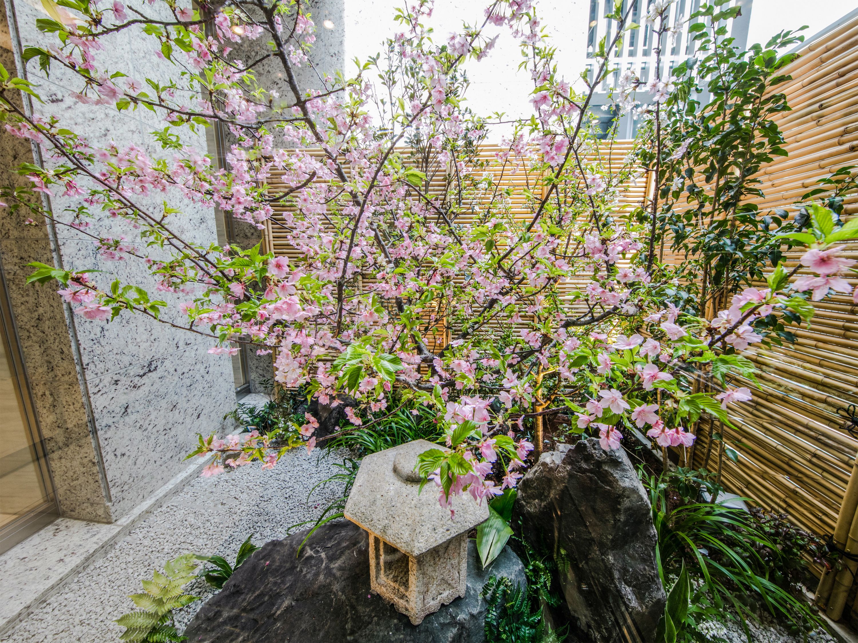 Four Points Flex by Sheraton Osaka Shinsaibashi