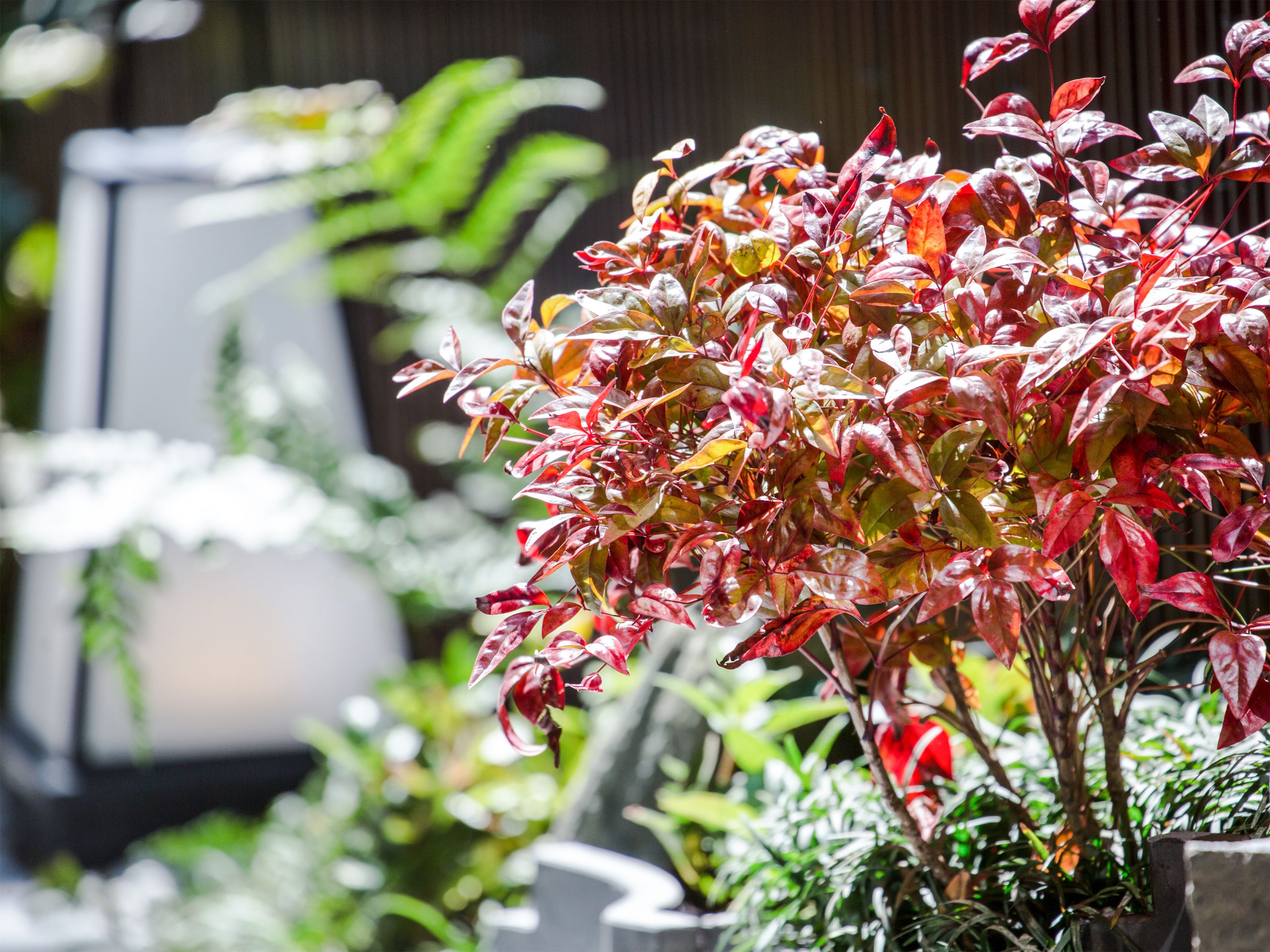 Four Points Flex by Sheraton Osaka Umeda
