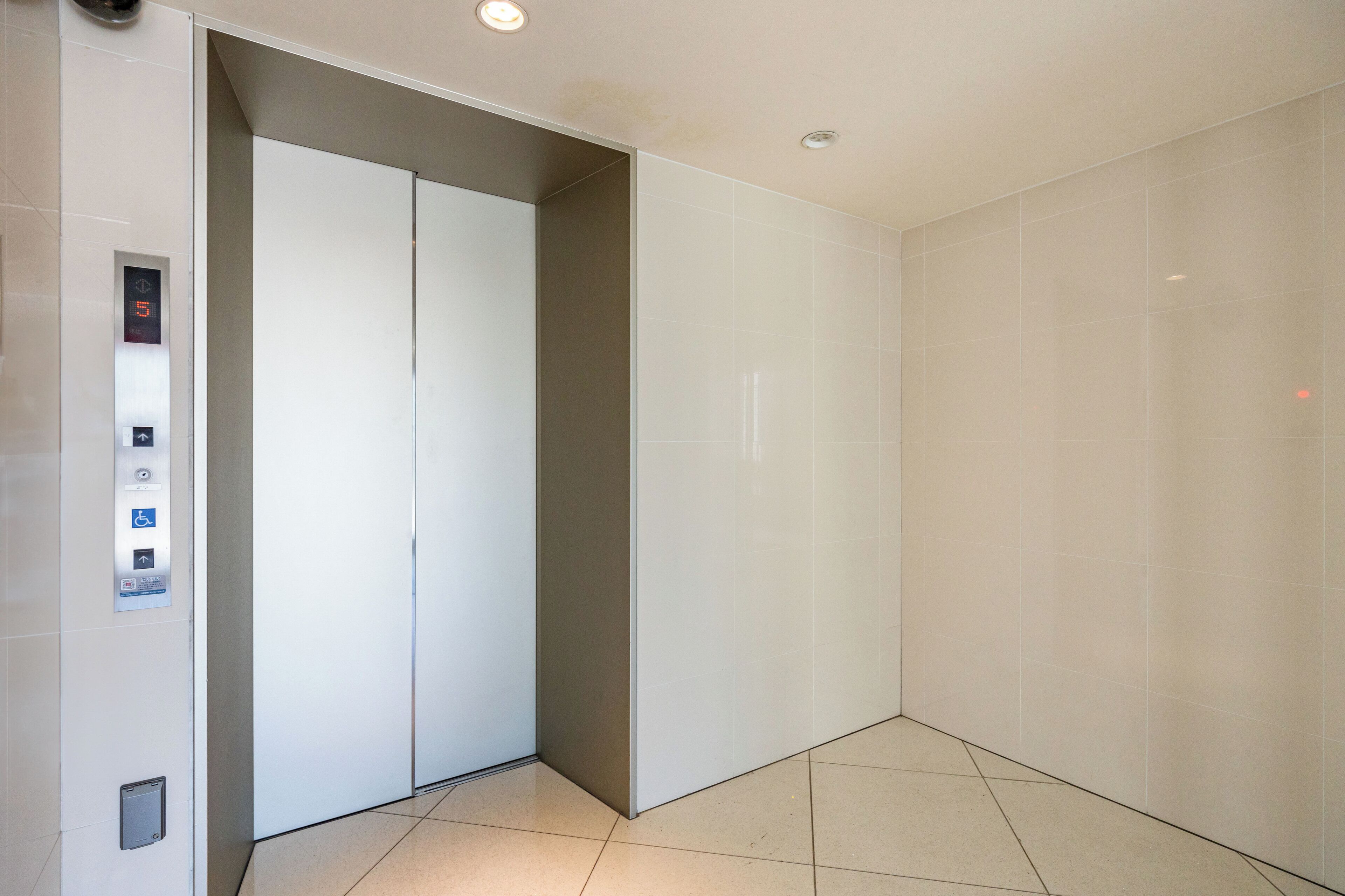 Japavista Xenith Premium