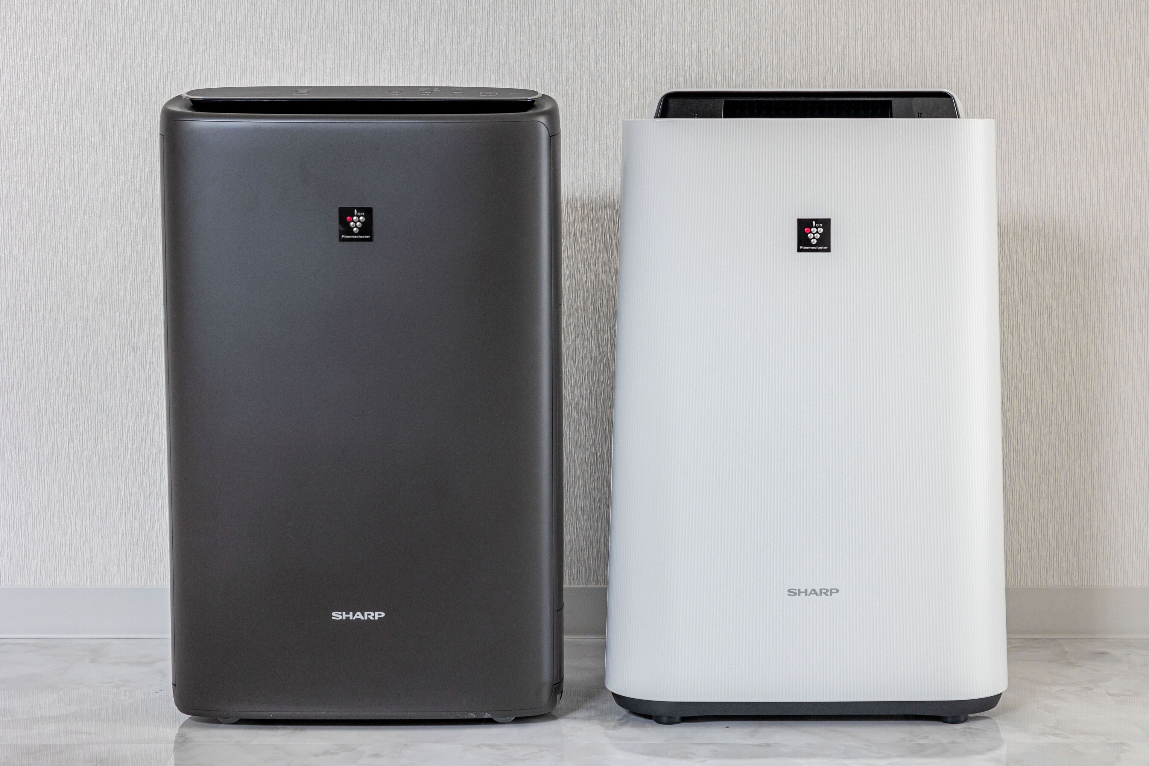 Japavista Xenith Premium