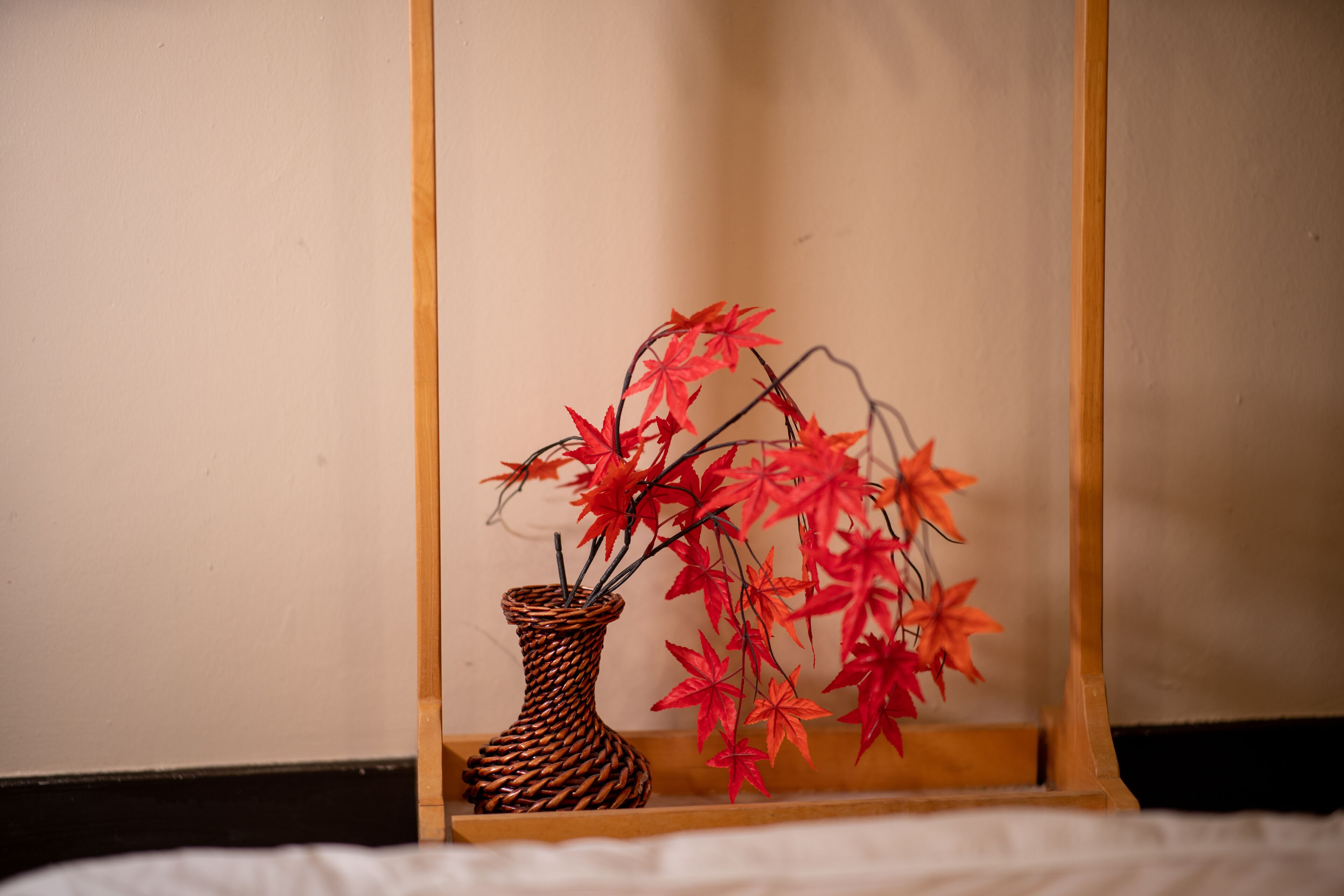 Mayamoto1