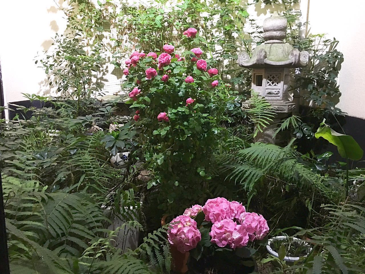Nakayama Guesthouse