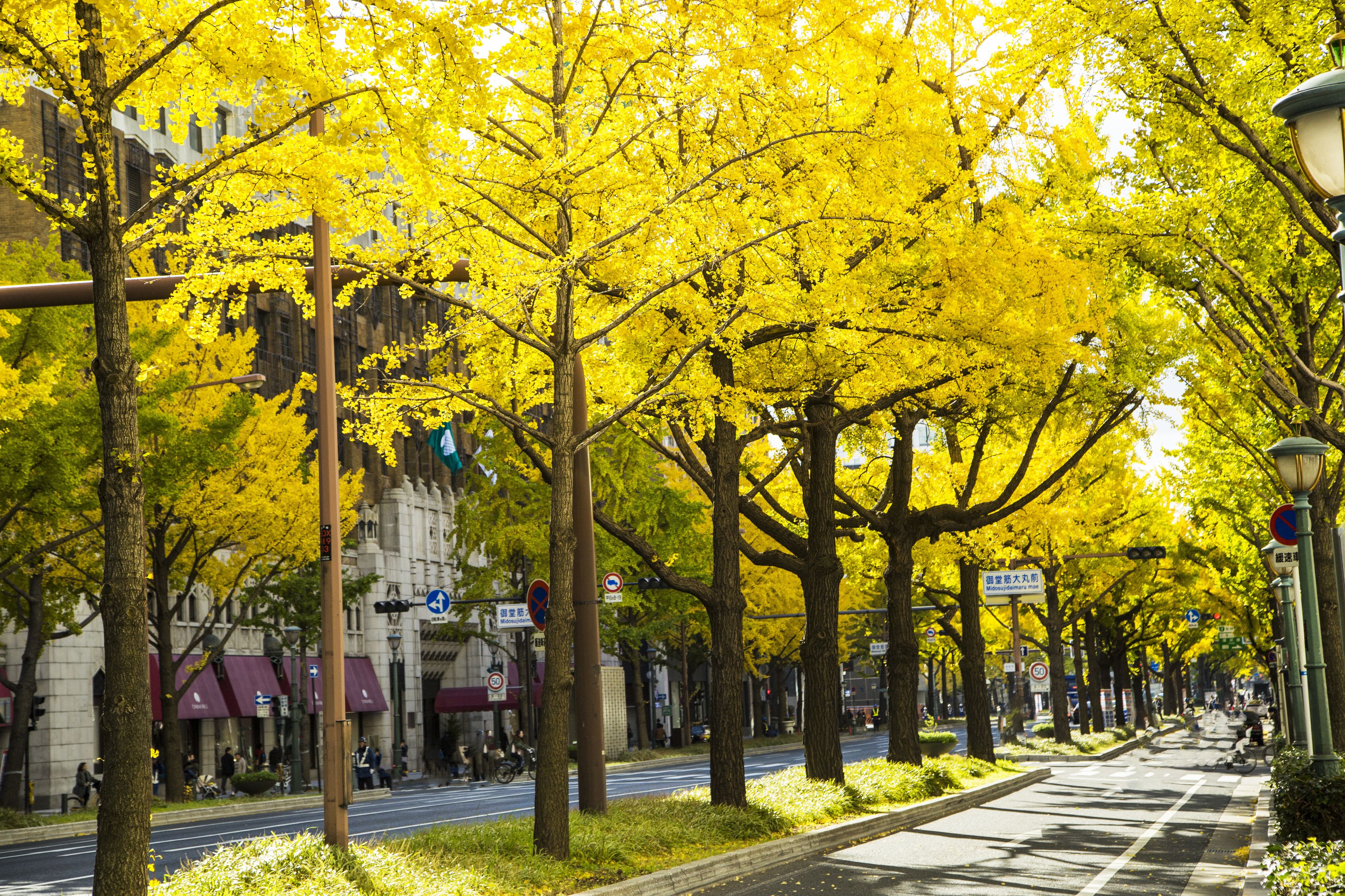 Nikko Osaka