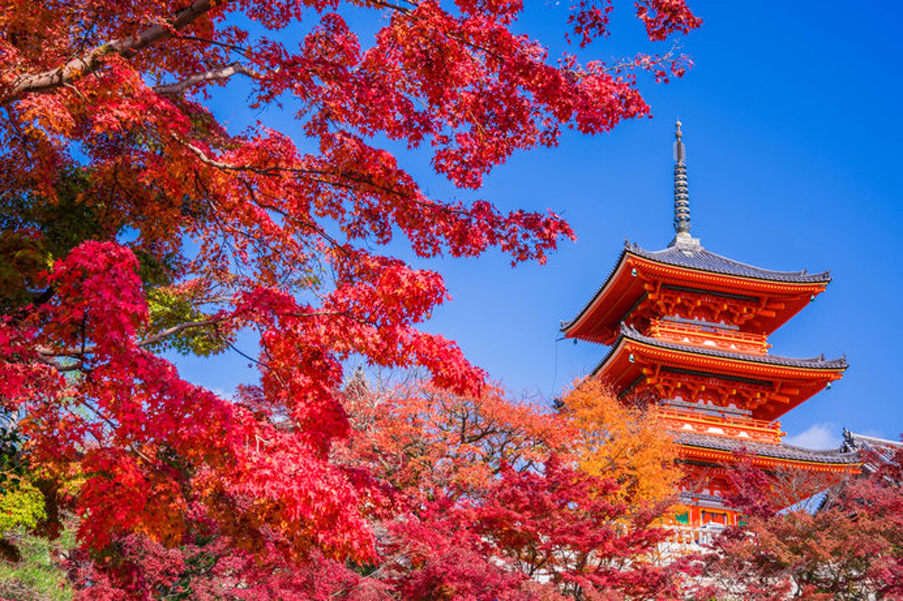 Ooimazato Samurai House2