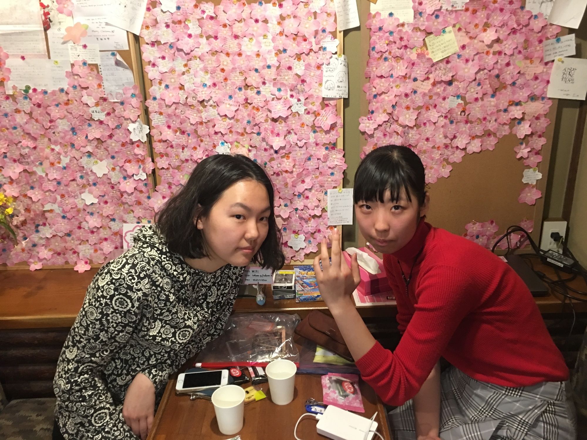 Osaka Guest House Sakura Hostel