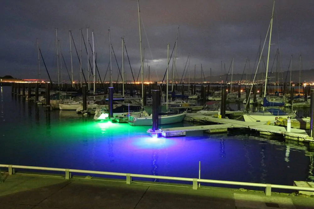 Osaka Hokko Marina Resort