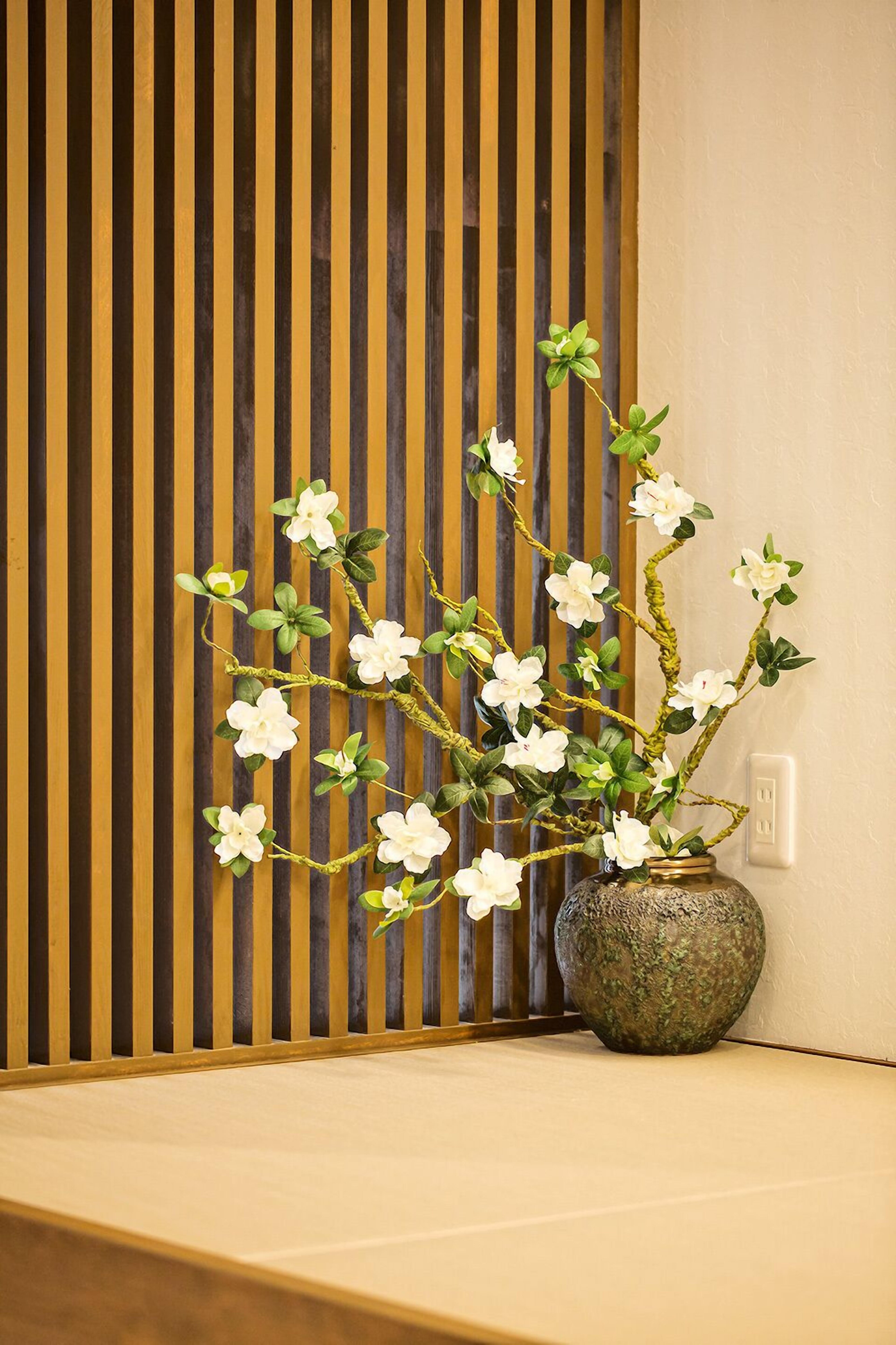 Osaka Zebrahouse Tenroku