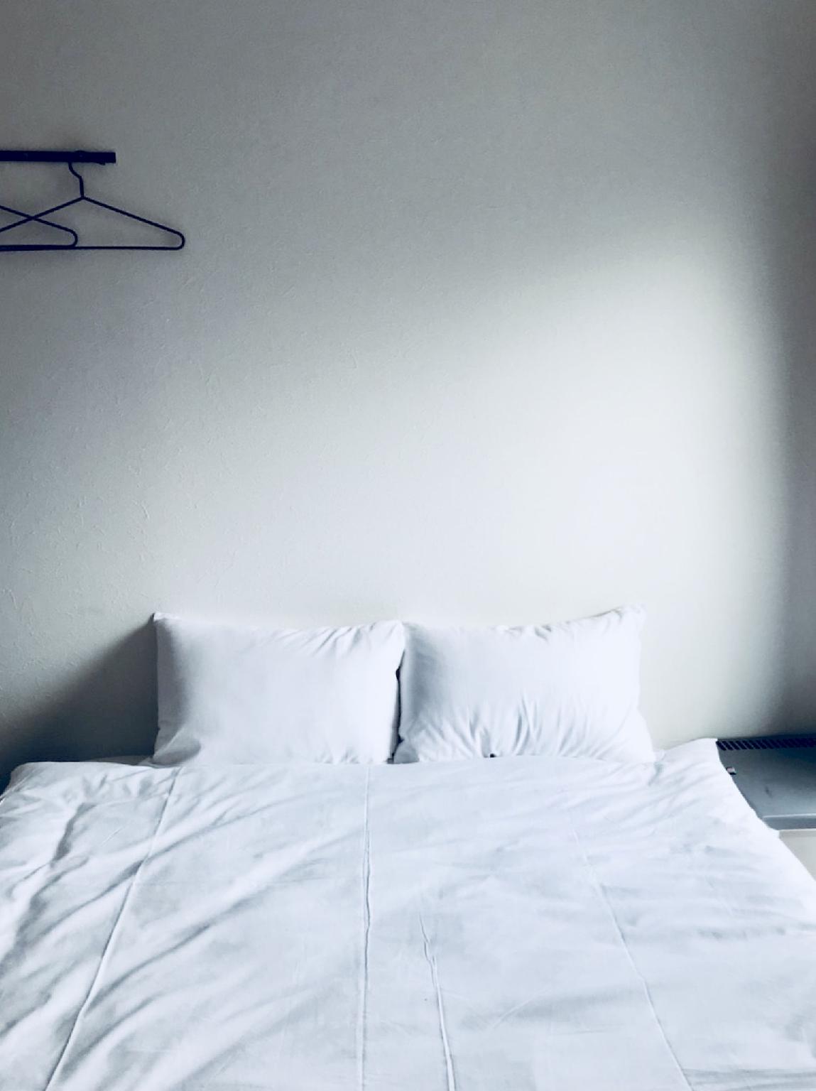 Scalene Hostel