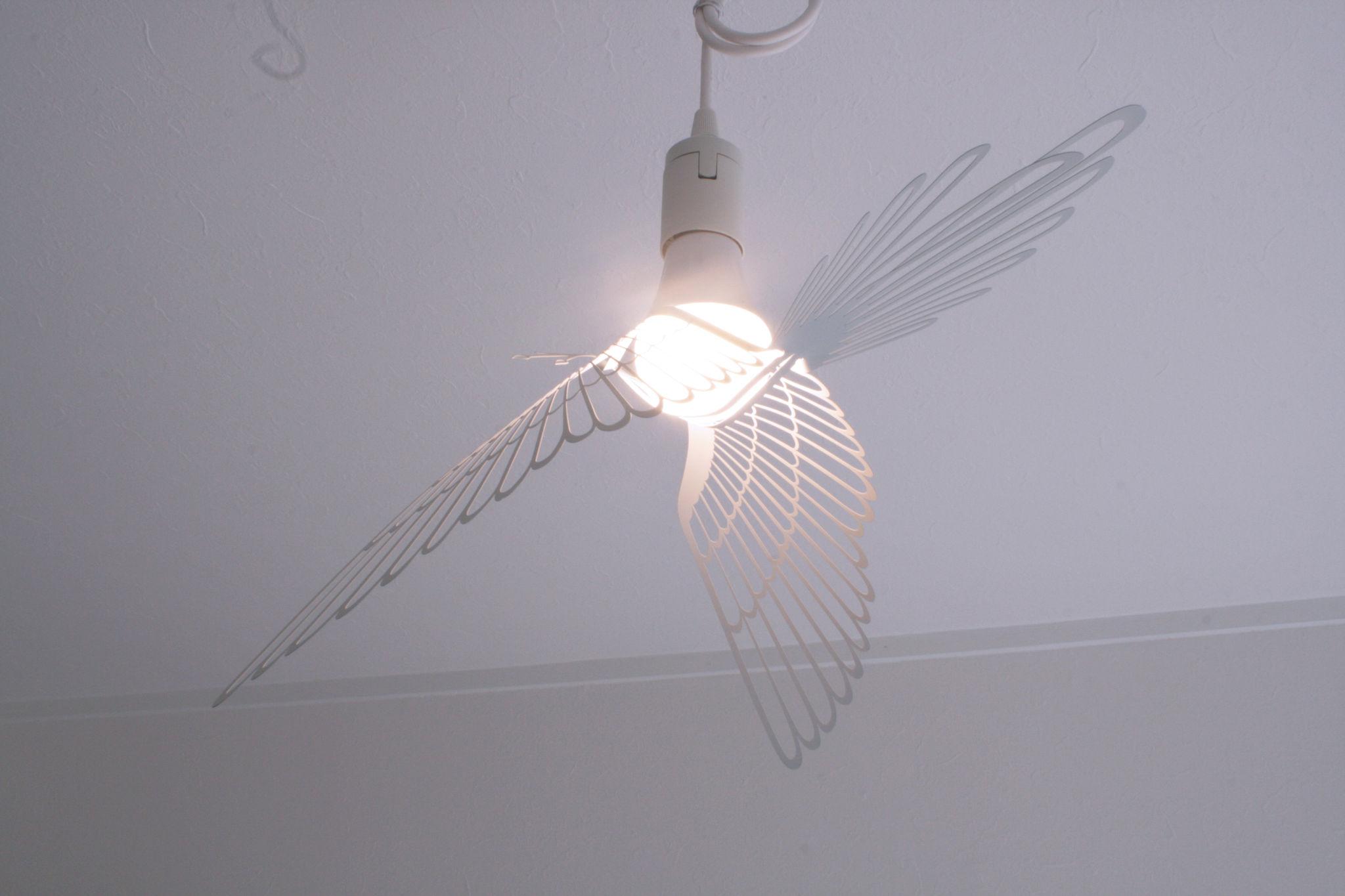 Scalene Hostel