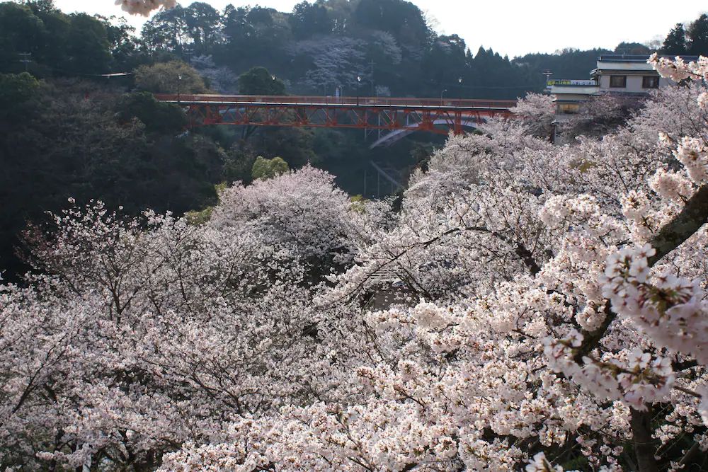 Shigisan Kanko Ryokan