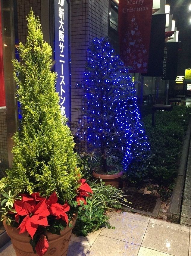 Shin Osaka Sunny Stone