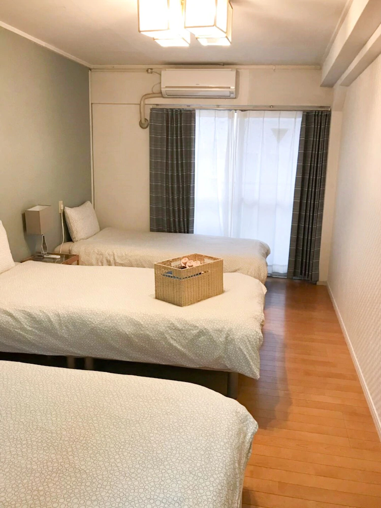 Shinsaibashi Family House