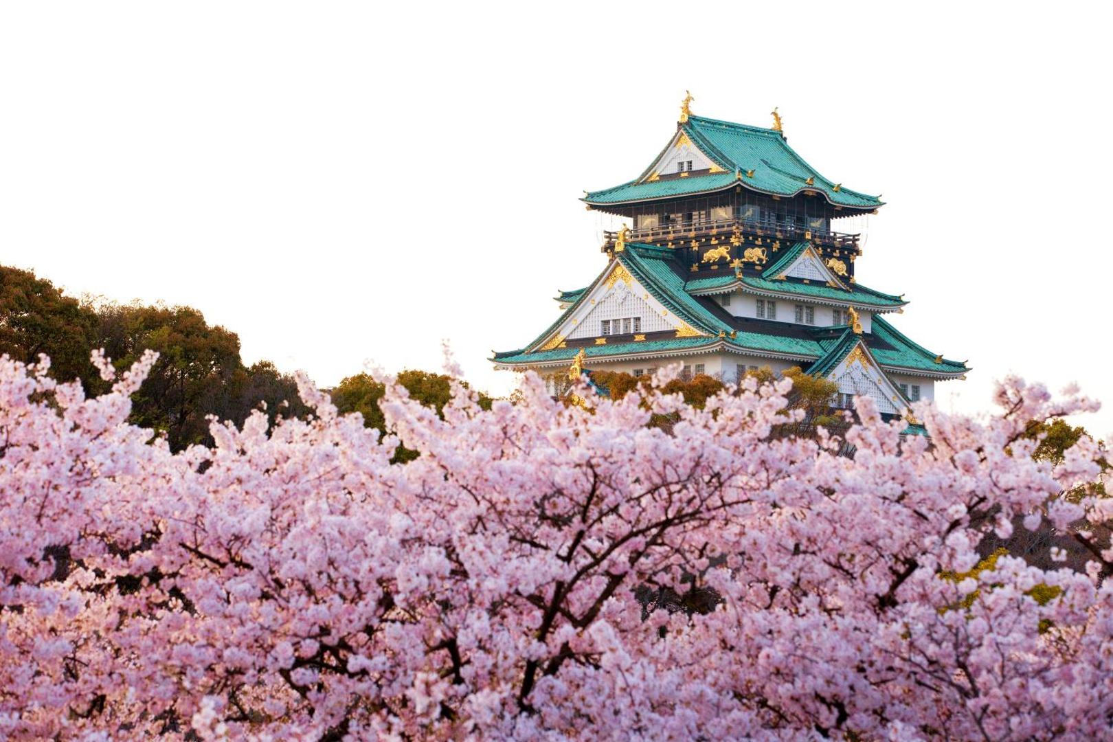 Sotetsu Fresa Inn Osaka Shinsaibashi