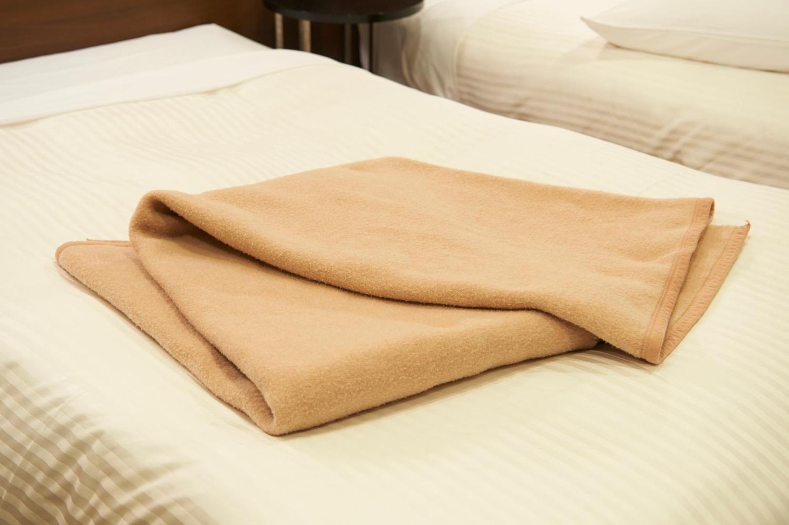 Sotetsu Fresa Inn Osaka Shinsaibashi