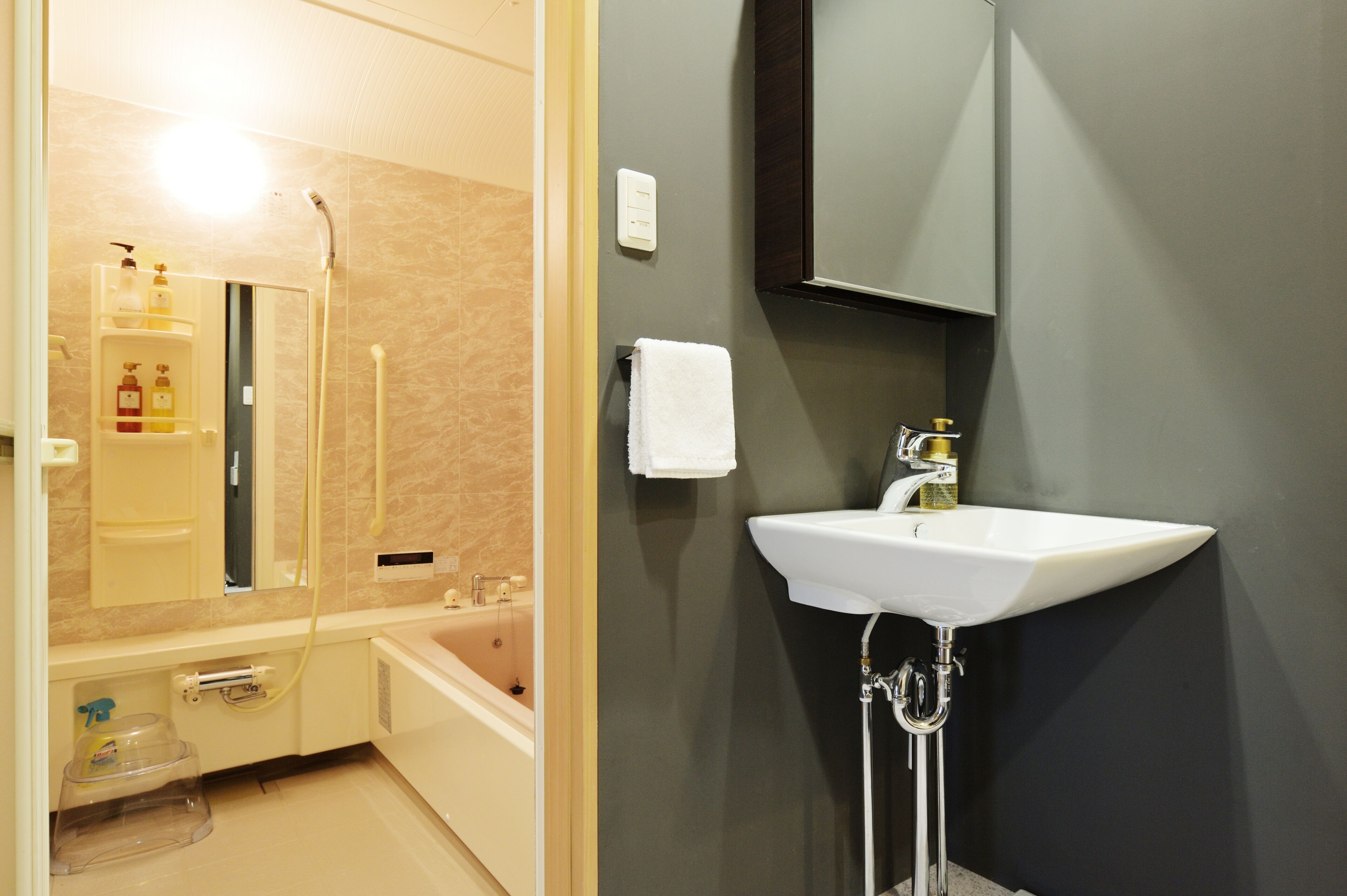 Tenka Chaya Residence East