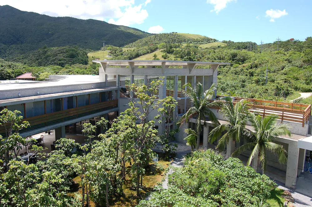 Jungle Hotel Painumaya