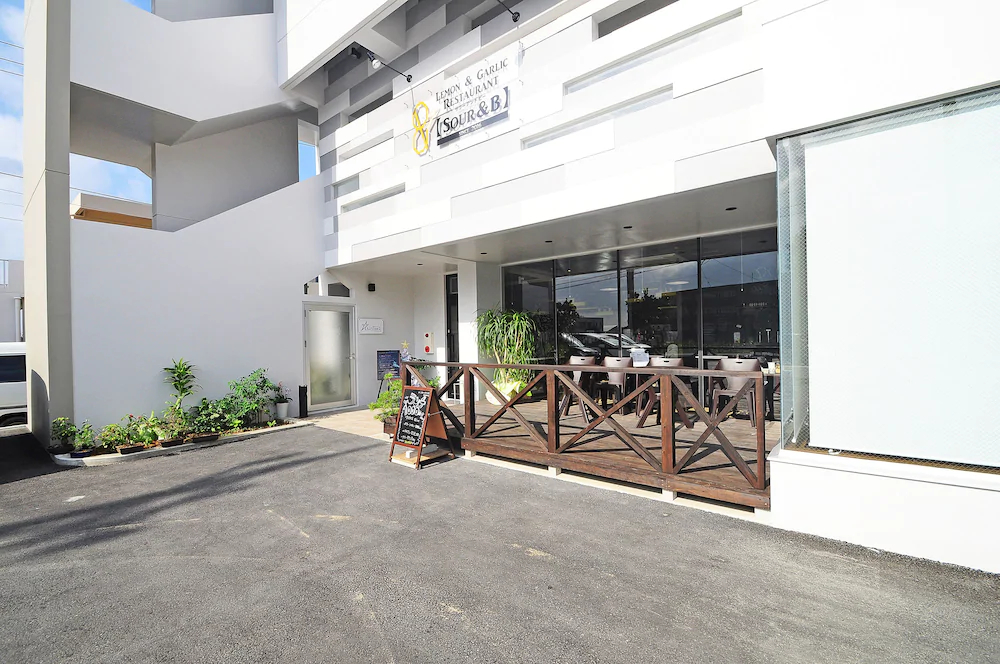 Hoshino Terrace Alcyone II