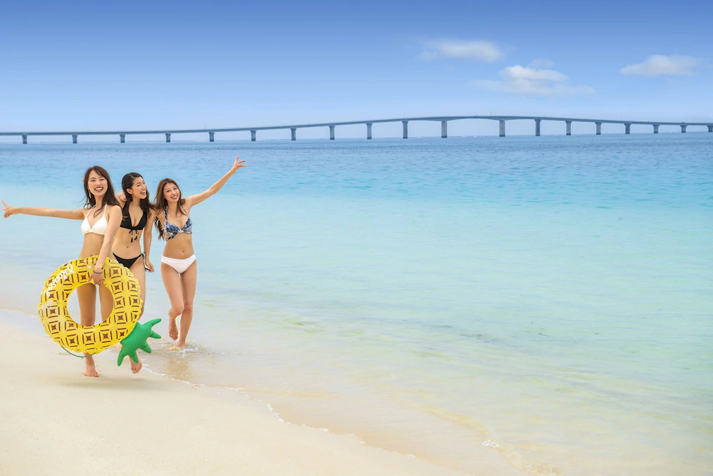 Stay Plumeria Arles Boulogne