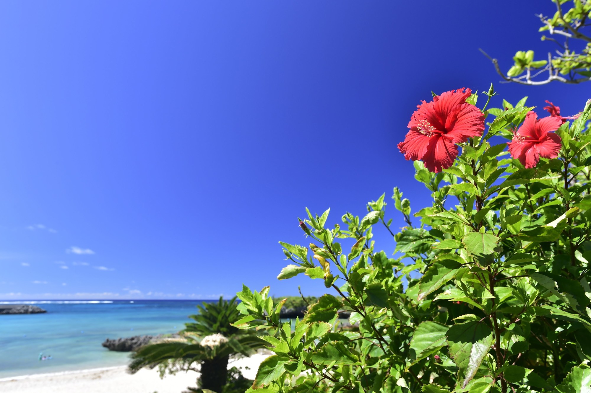 Wellness Villa Brisa