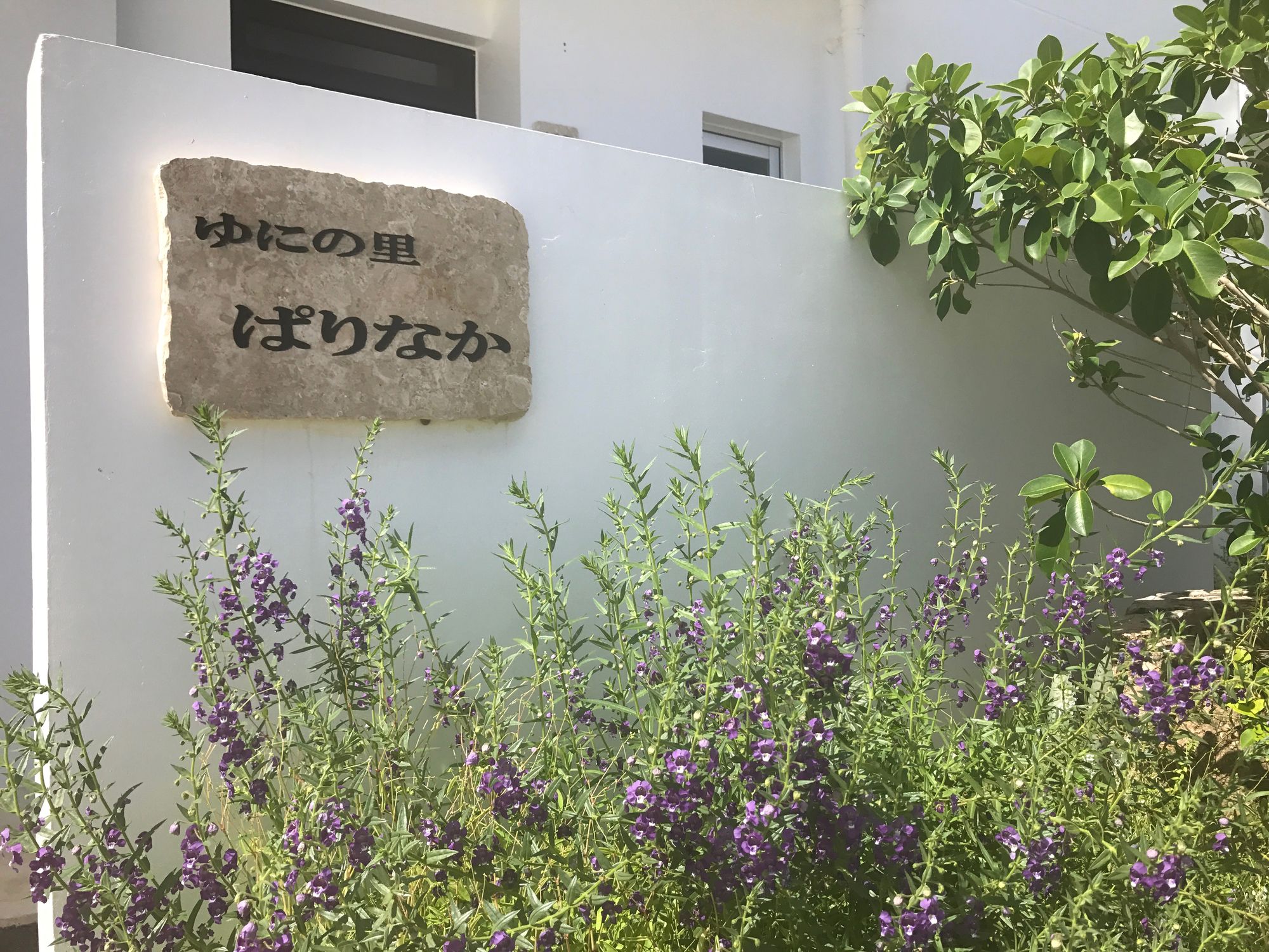 Yuninosato Parinaka