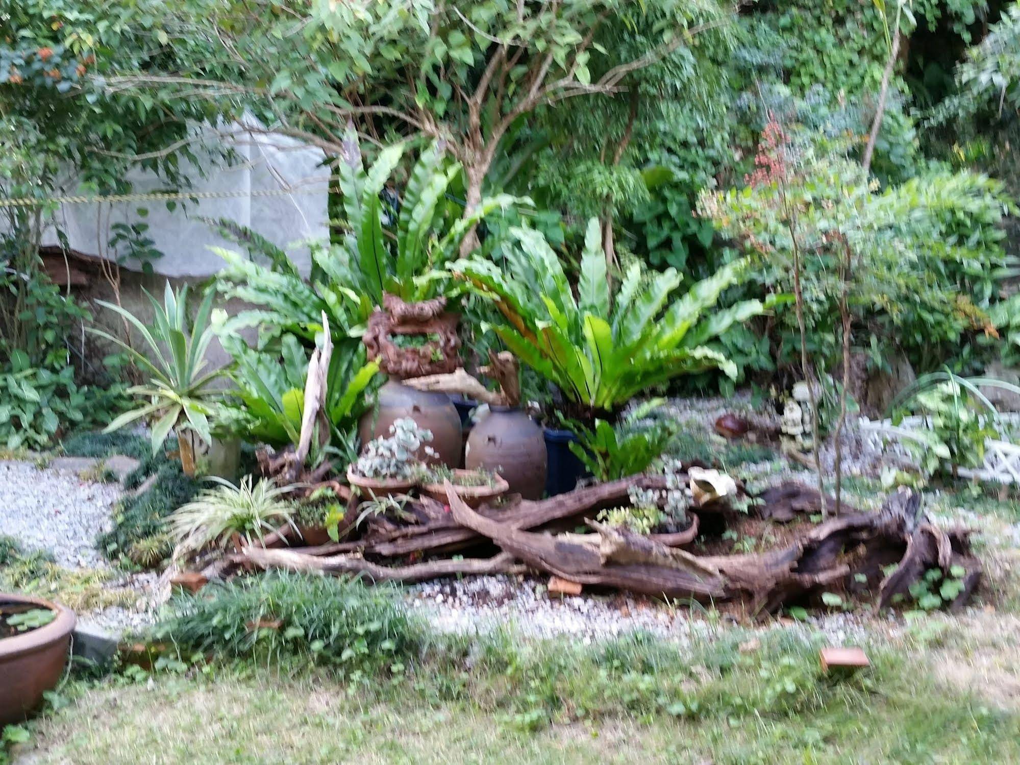 Yanbaru Lodge