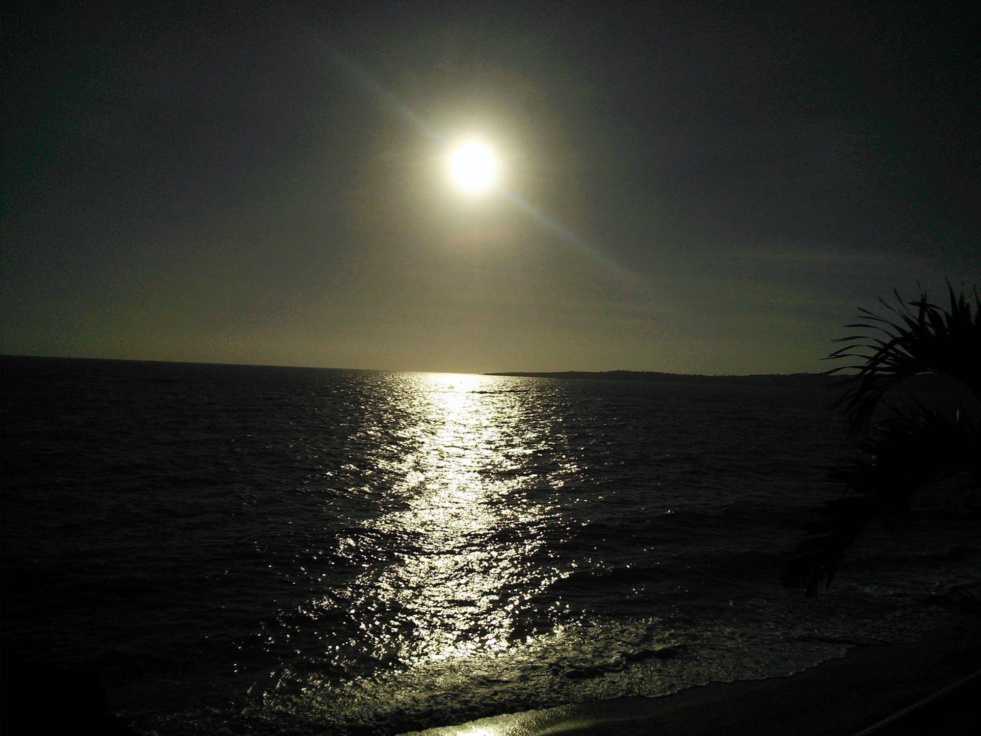 Churaumi on the Beach Motobu