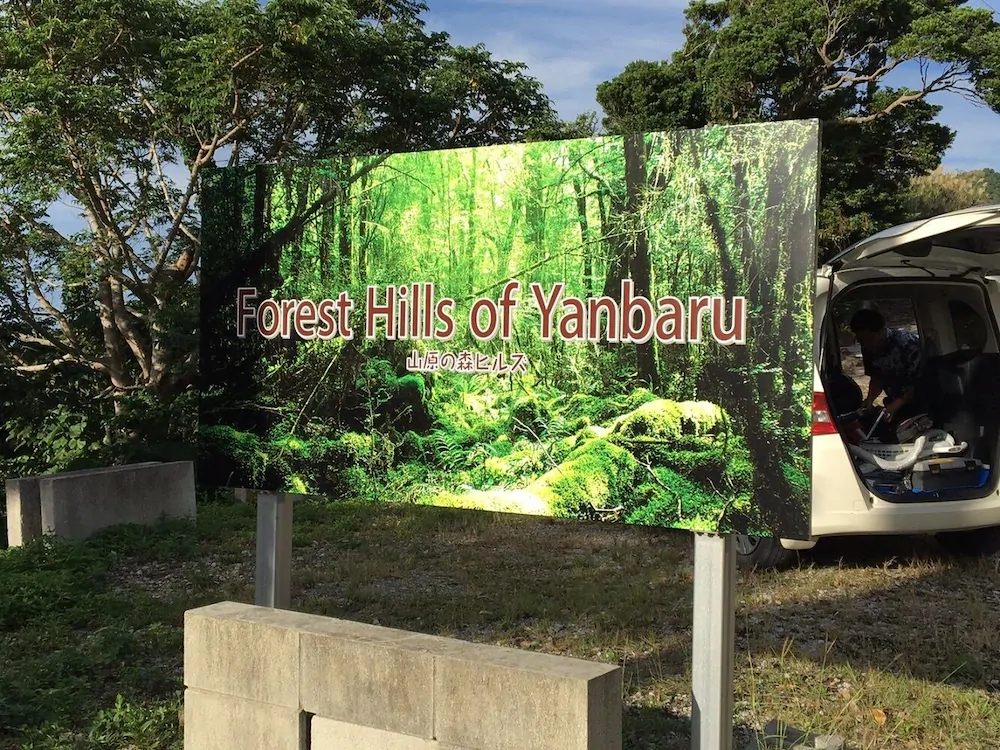 Forest Hills of Yanbaru