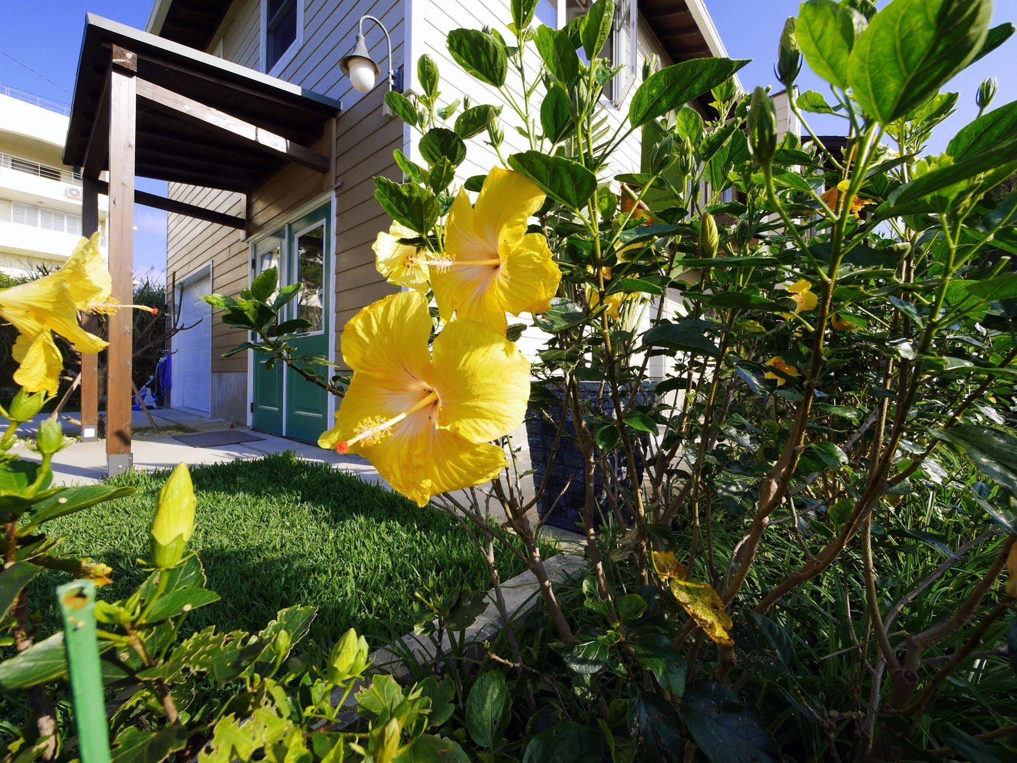 Private Vacation Villa Kohola