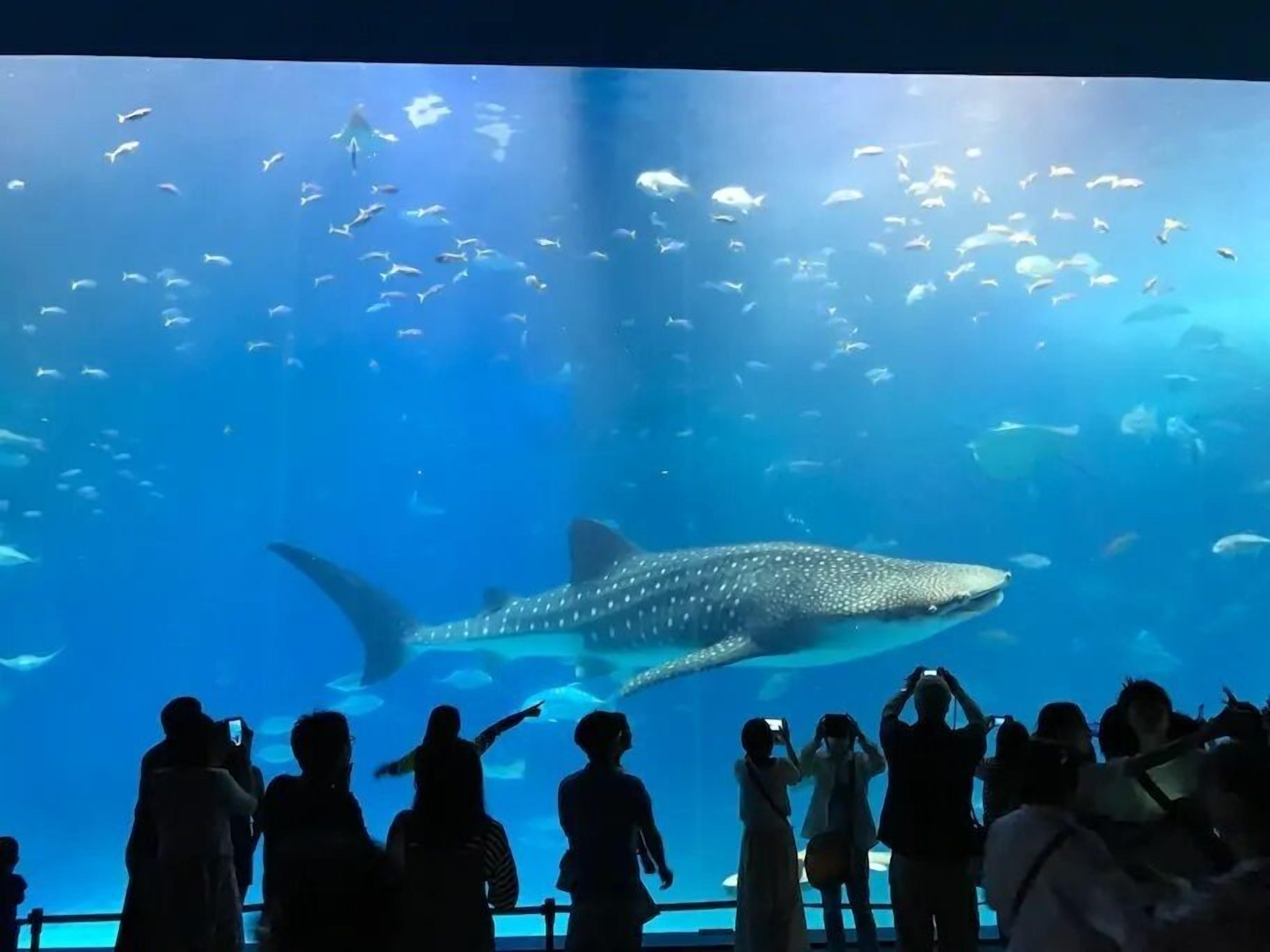 Winbell Okinawa Nago Coral View